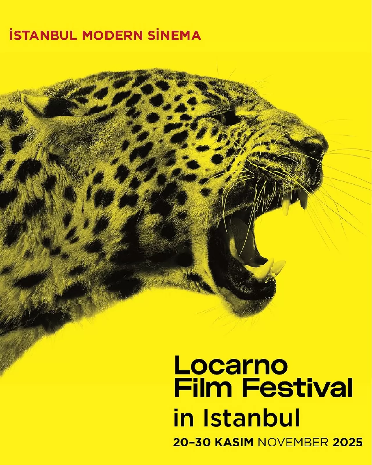 Locarno Film Festivali'nin Seçkisi İstanbul'da Sinemaseverlerle Buluşacak