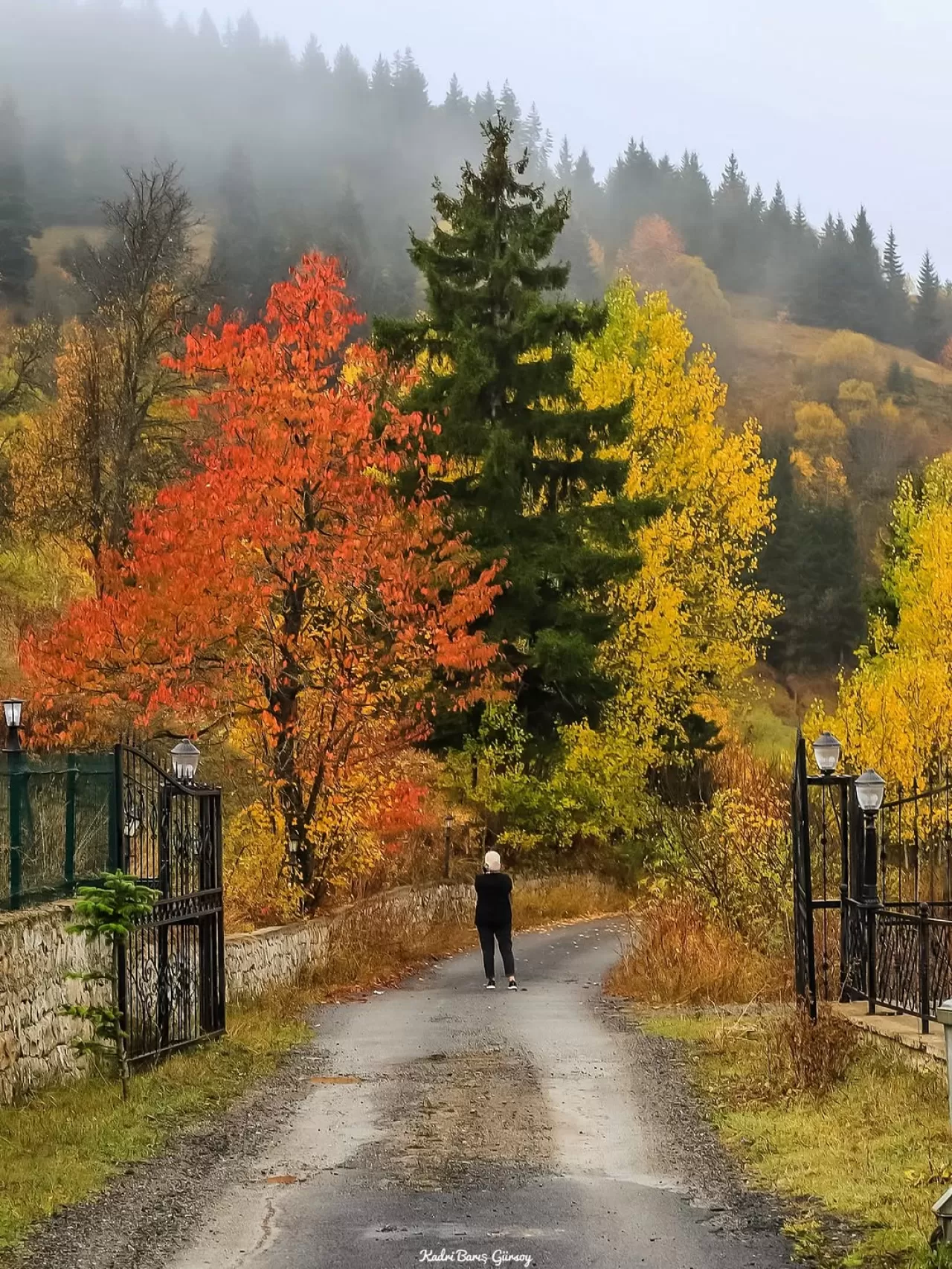 Artvin'in Şavşat İlçesinde Black Forest Hotel, Sonbahar Manzarasıyla Öne Çıkıyor