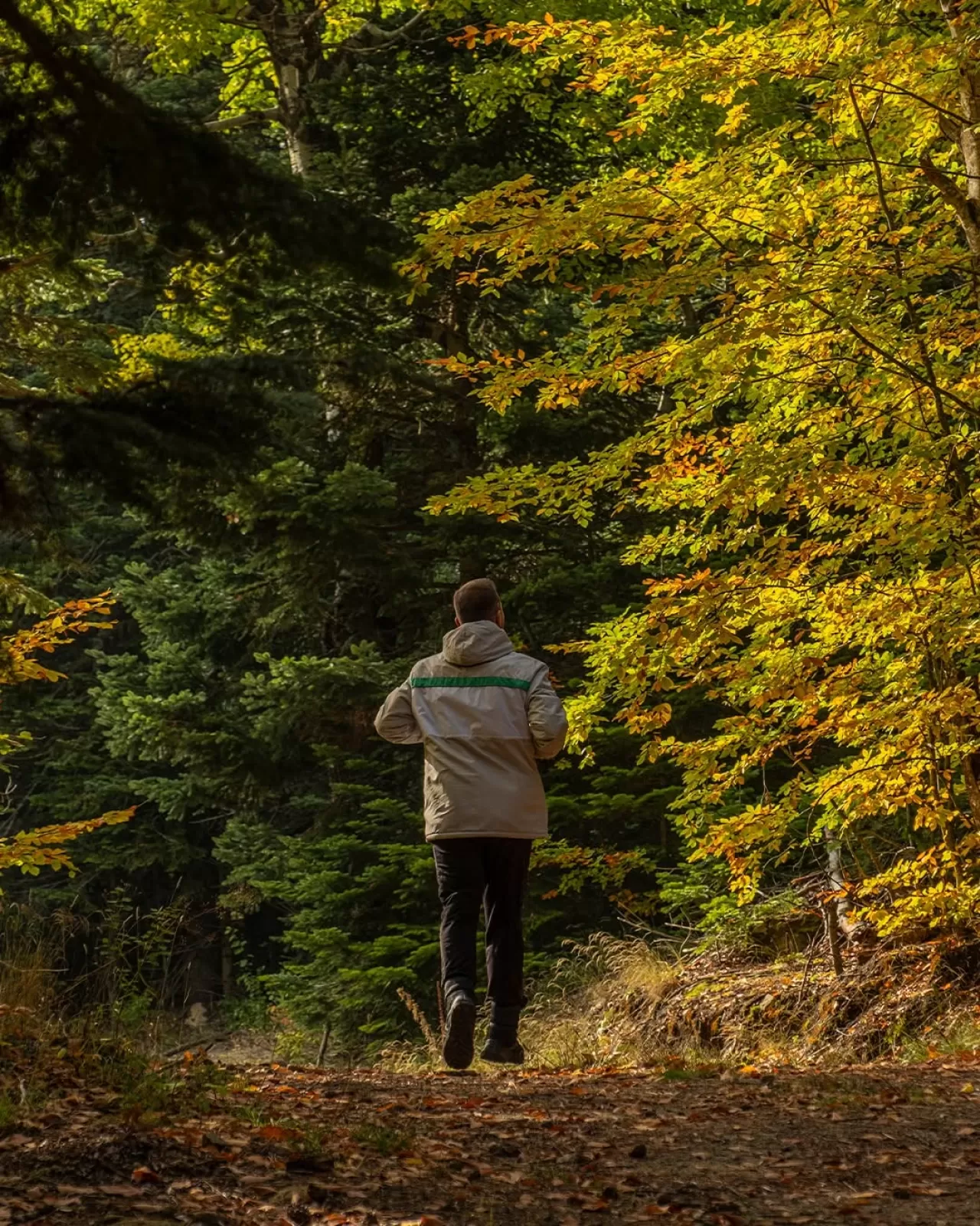 Uludağ'da Sonbaharın Renkleriyle Doğanın Keyfi