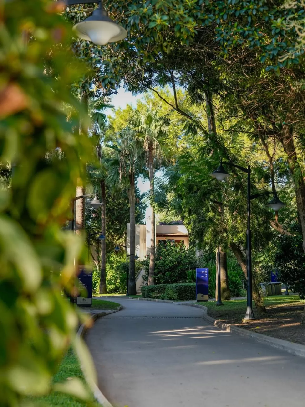 DoubleTree by Hilton Bodrum Işıl Club Resort, Doğanın Büyüsüyle Hizmet Veriyor