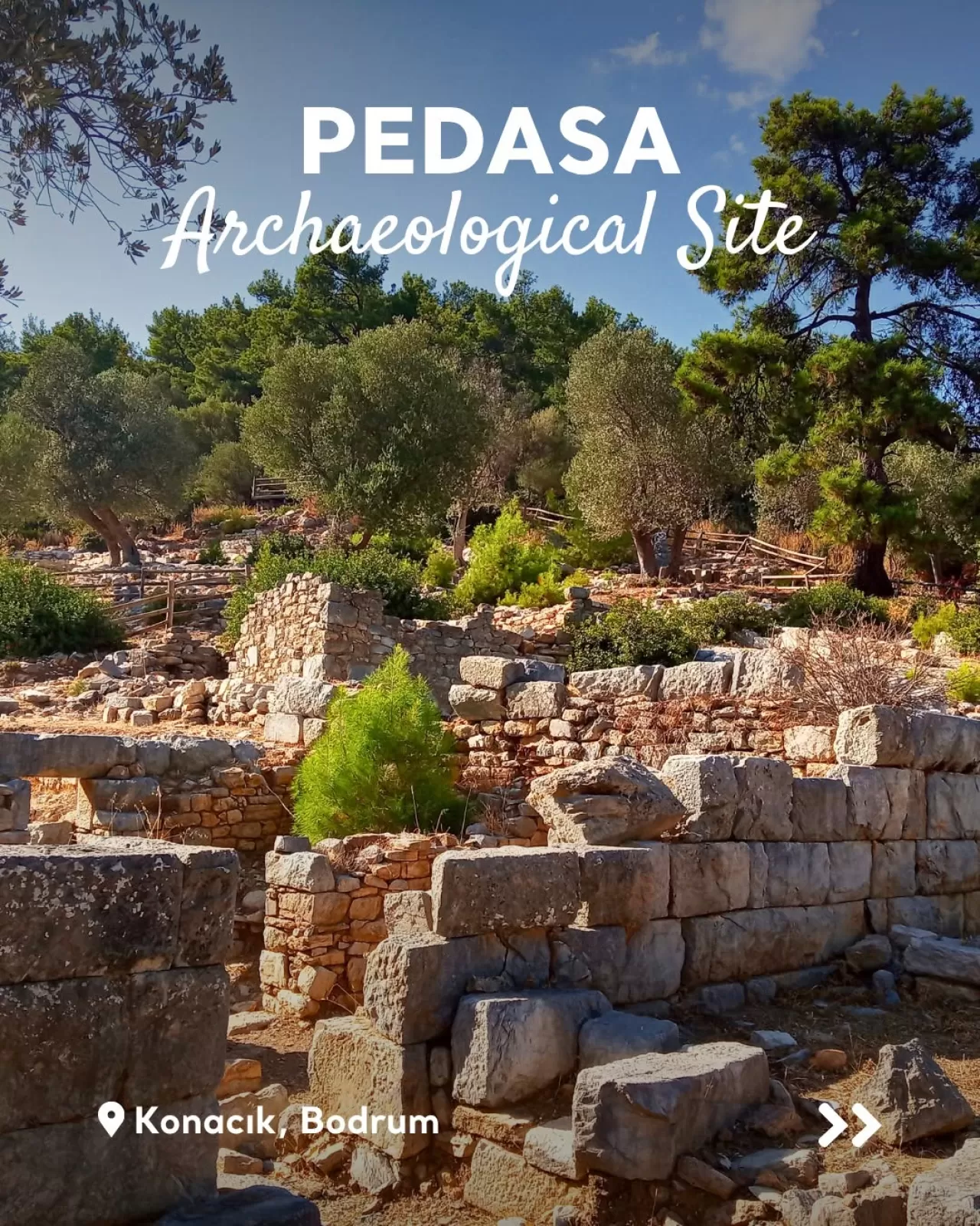 Bodrum'da Tarihe Yolculuk: Pedasa Antik Kenti Ziyaretçilerini Bekliyor