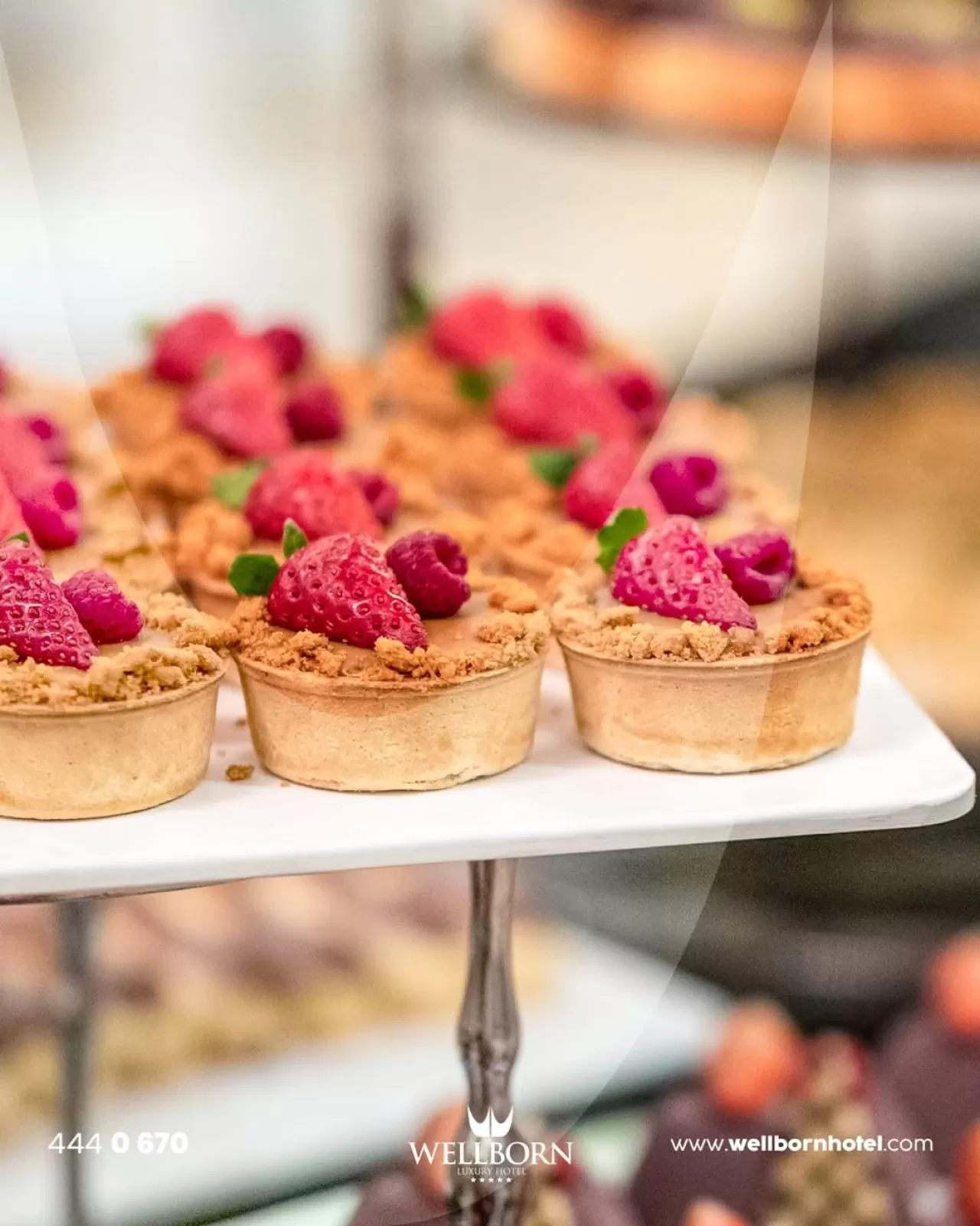 Wellborn Luxury Hotel, Toplantı ve Davetler için Özel İkram Hizmeti Sunuyor