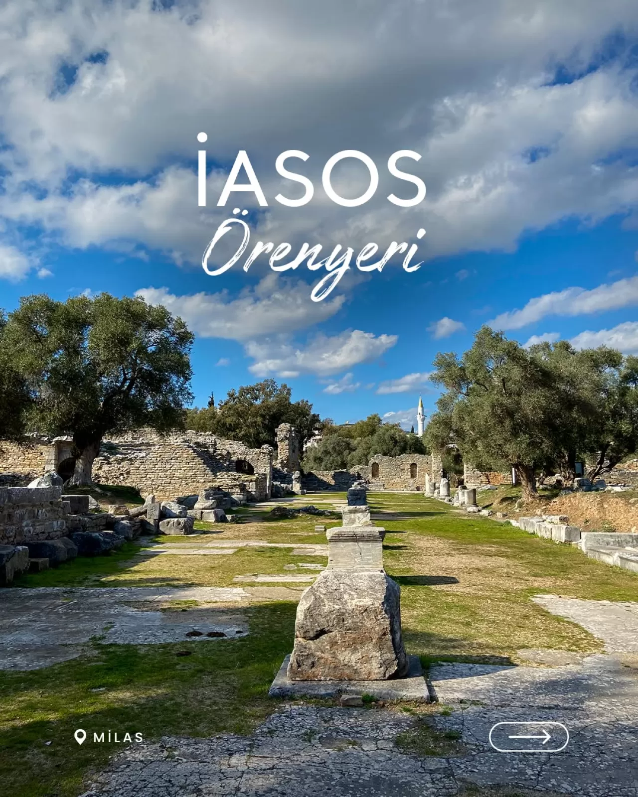 Milas'taki İasos Antik Kenti, 5 Bin Yıllık Tarihe Işık Tutuyor