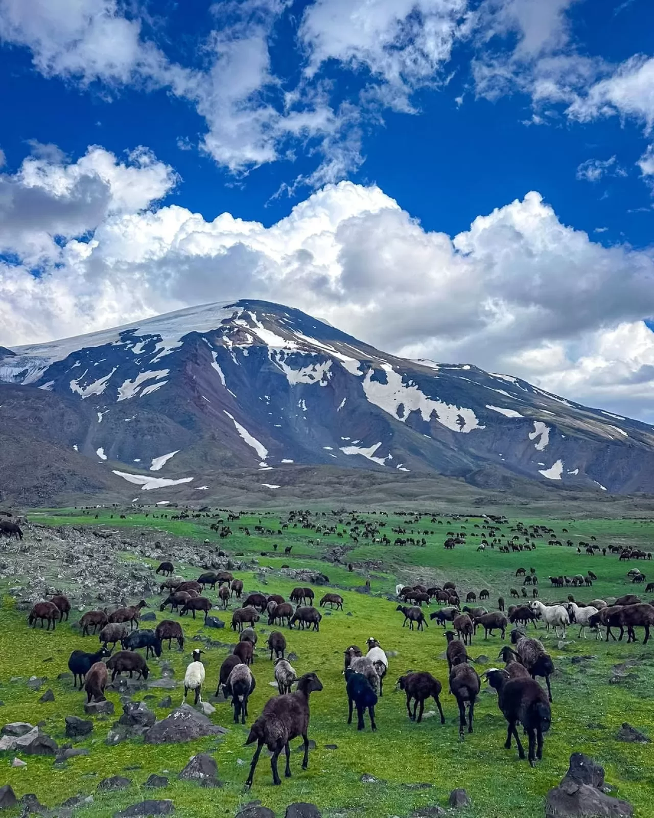 Ağrı Dağı'nın Gölgesinde Zamanın Ritmi: Çobanlar, Sürüler ve Doğanın Döngüsü