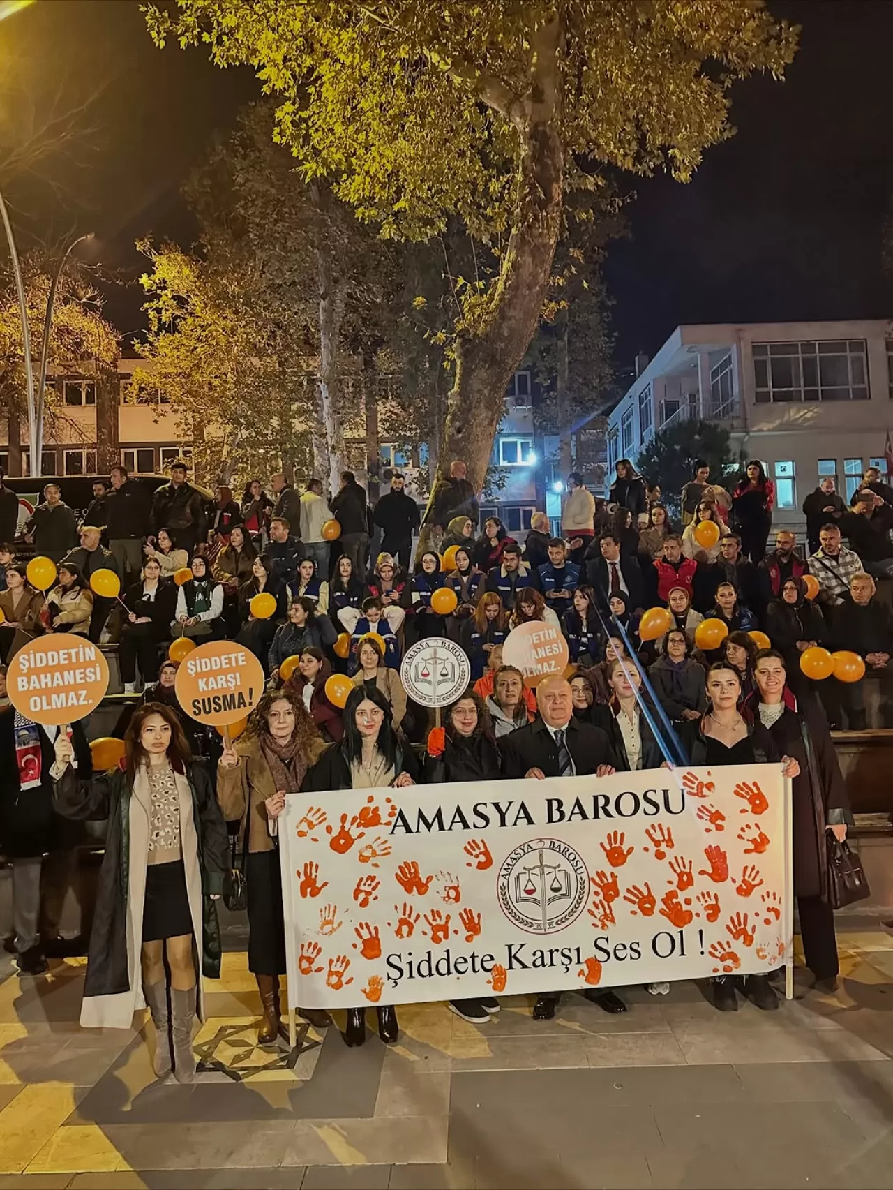 Amasya'da Kadına Yönelik Şiddetle Mücadele Günü Etkinlikleri Düzenlendi