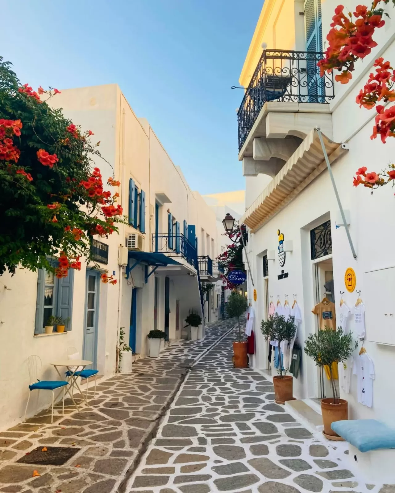 Bodrum'un Beyaz Sokaklarında Yaz Özlemi