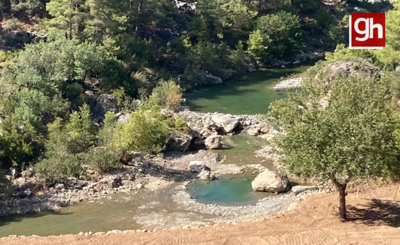 Arama Sistemi Mahalle Sorgusunda Sonuç Bulunamadı