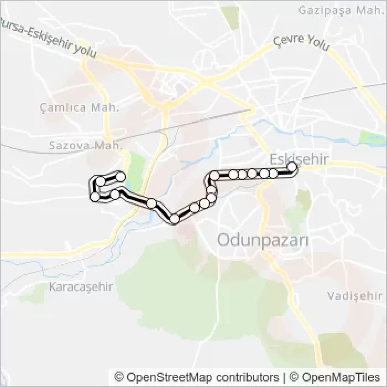 Odunpazarı'ndan Yükselen Evrensel Nağmeler: Beş Durakta Müzik Yolculuğu