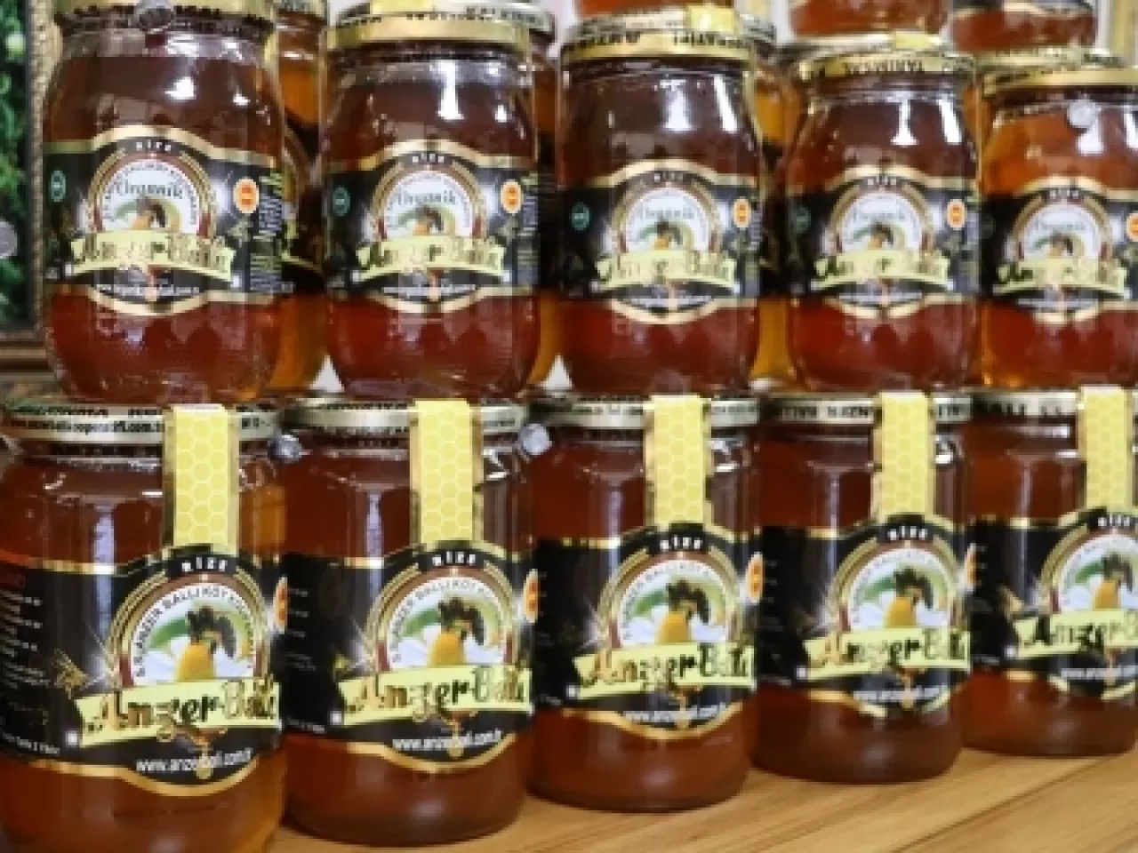 Ordu, Türkiye'nin Bal Üretiminde Liderliğe Oynuyor: Gezginci Arıcılık ve Modernleşme Çabaları