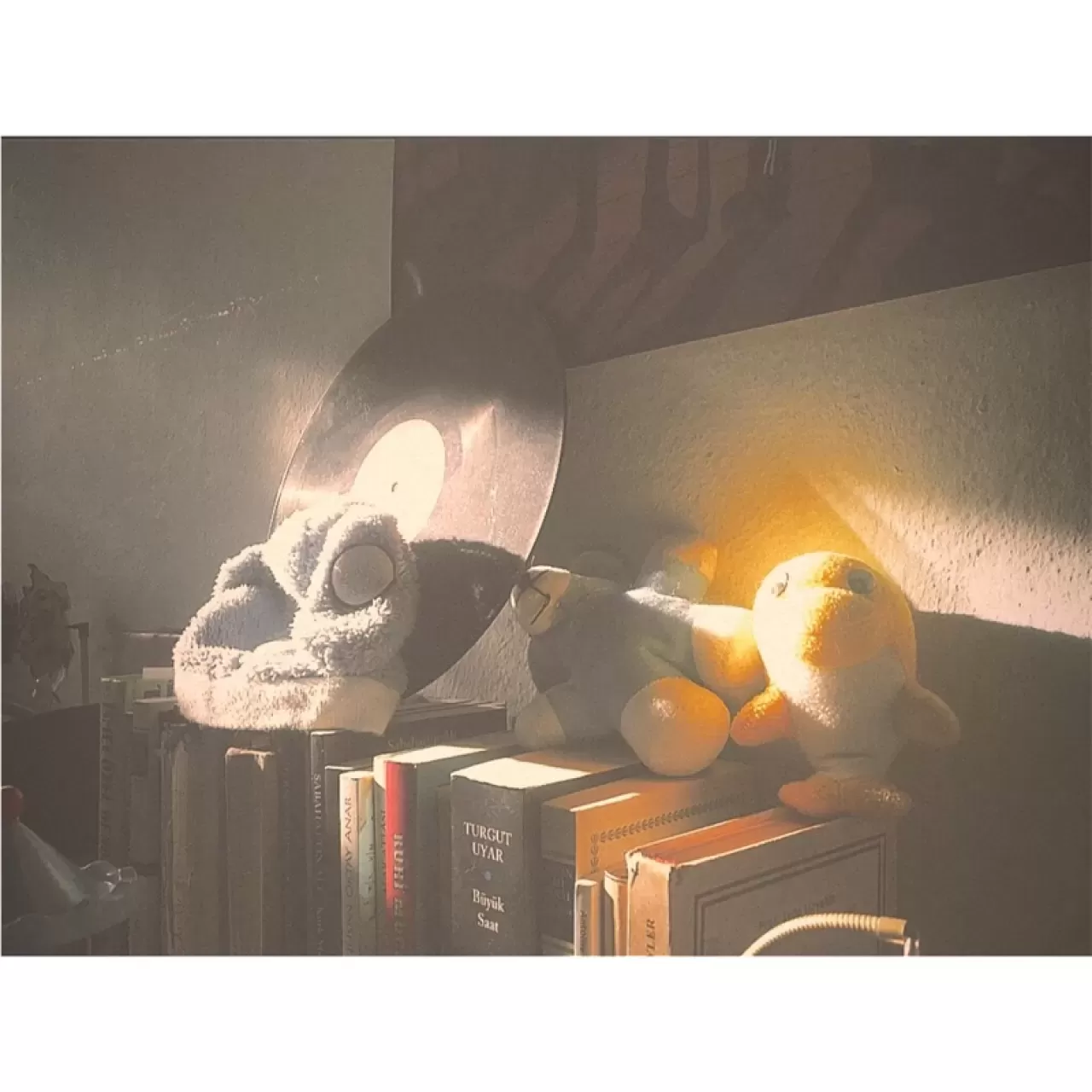 Küçükköy'ün Gizemli Sokakları ve Sabahın İlk Ekmek Kokusu