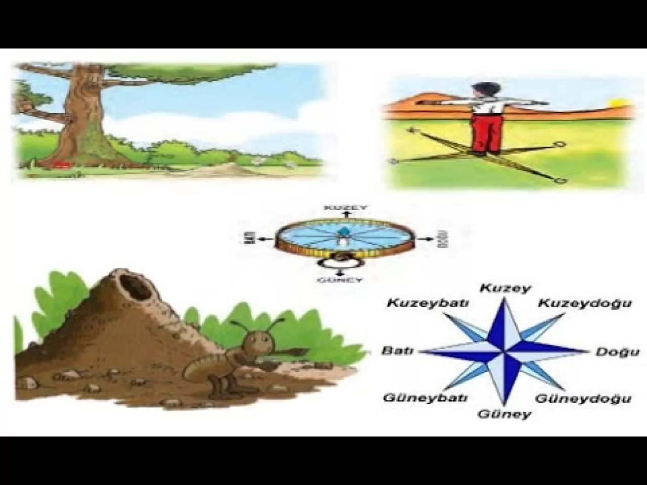 Köyde ve Doğada Kaybolmamanın Sırları: Geleneksel Yön Bulma Sanatı