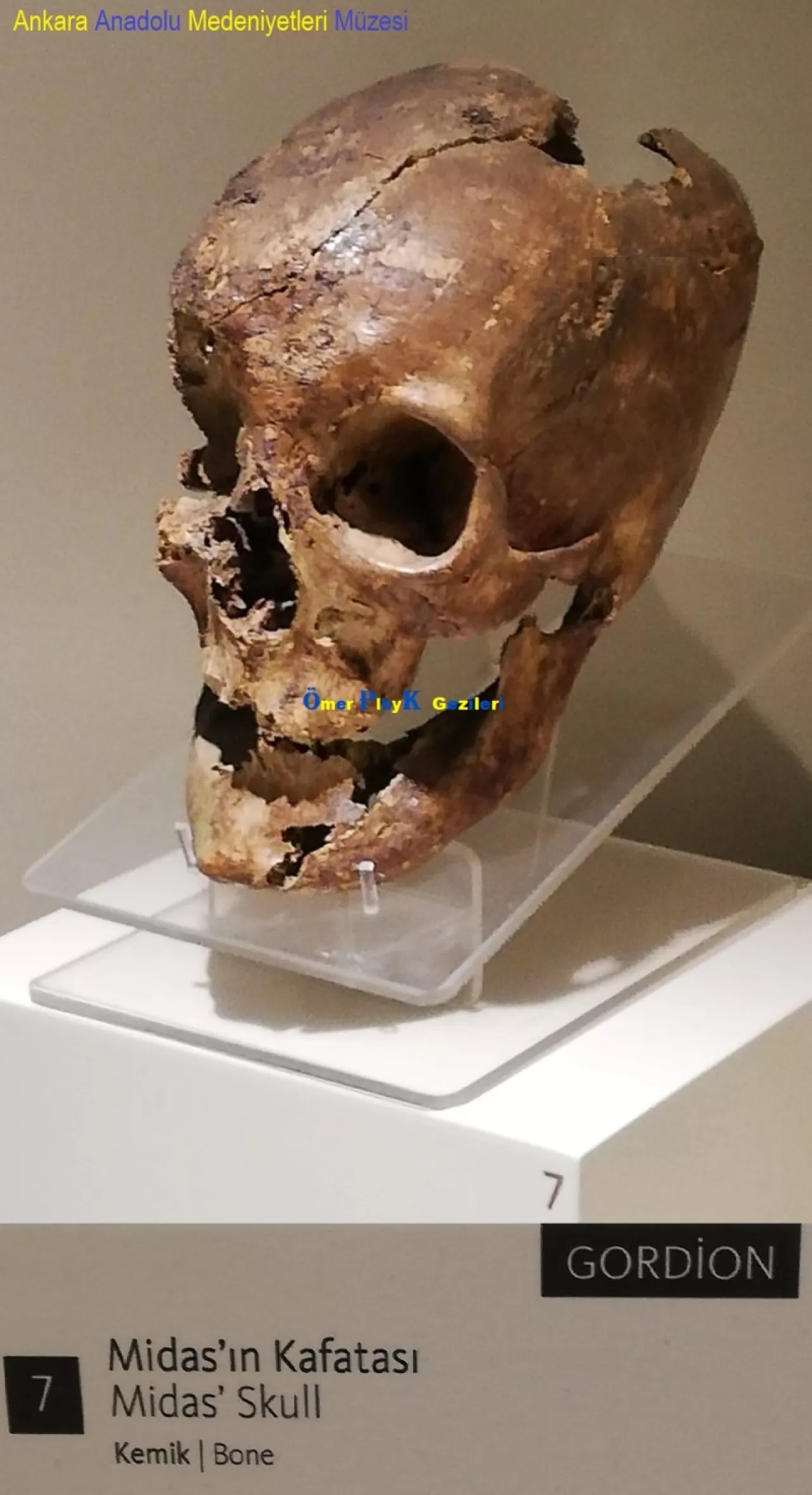 Midas'ın Dokunuşu ile Altına Dönen Tarih: Ankara'nın Arkeoloji Müzeleri Rotası