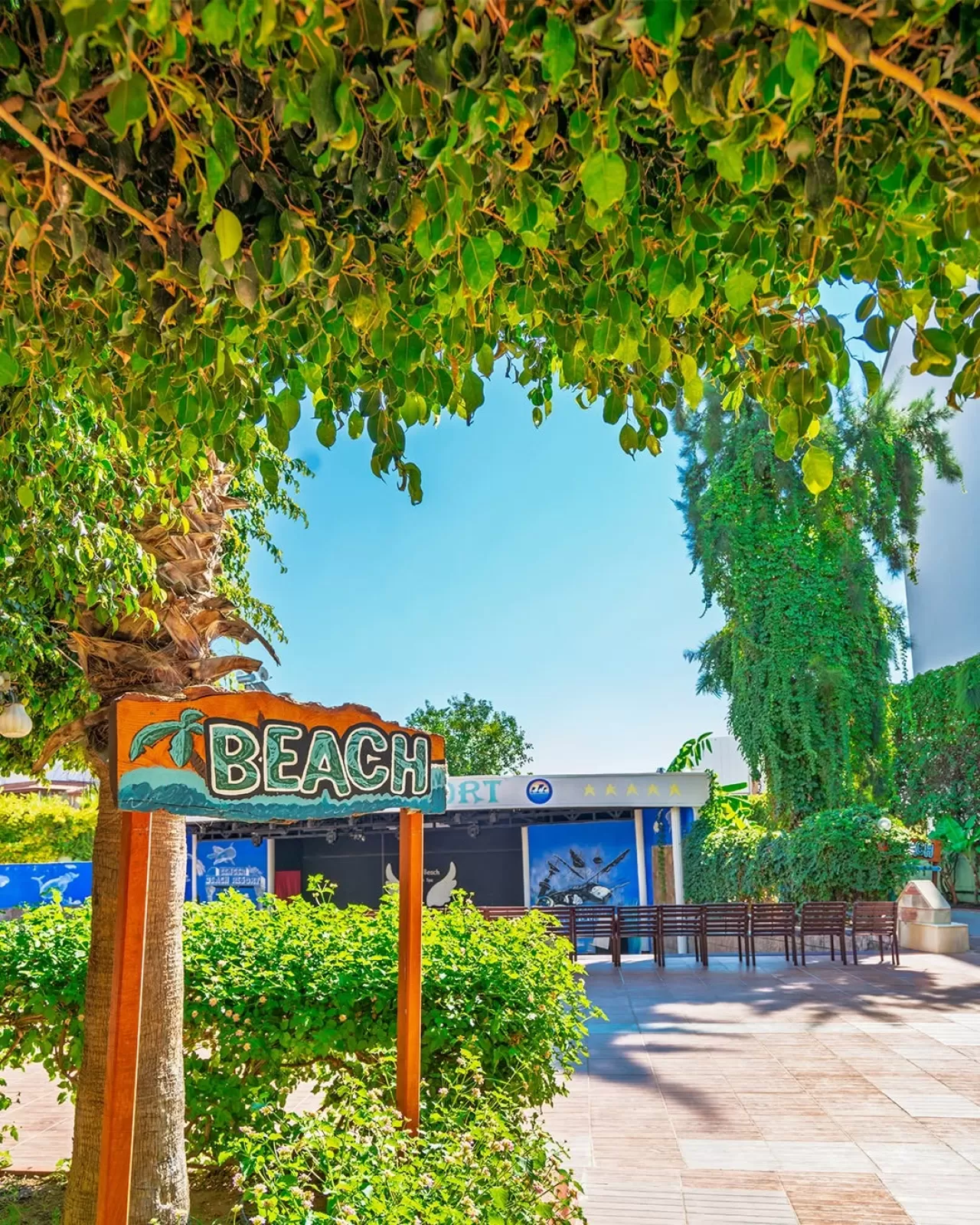 Çenger Beach Resort'ta Açık Hava Gösterileri Sanatseverlerle Buluşuyor