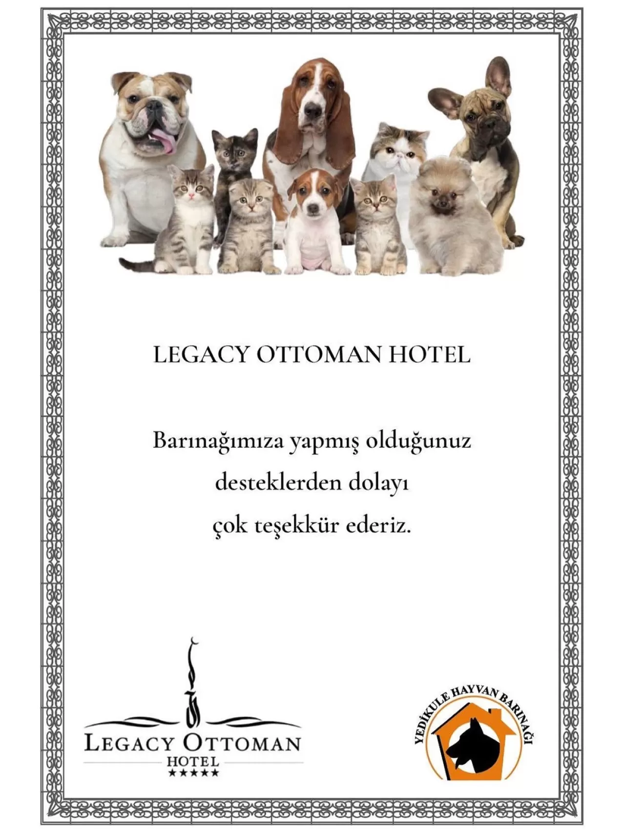 Legacy Ottoman Hotel, Barınak Hayvanlarına Destek Oldu
