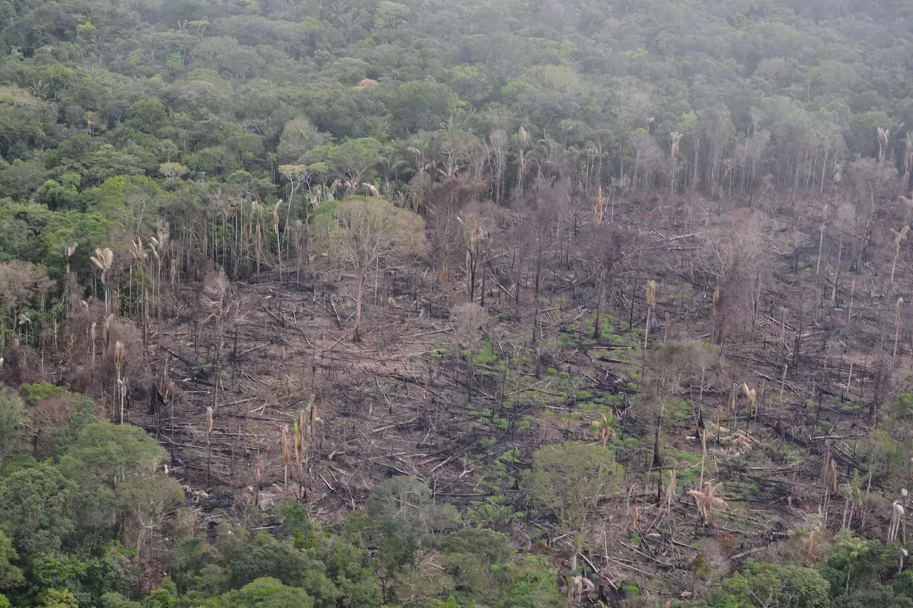 Sierra Nevada'nın Kadim Bekçileri: Arhuaco ve Kogi Halklarının Ruhani Yolculuğu