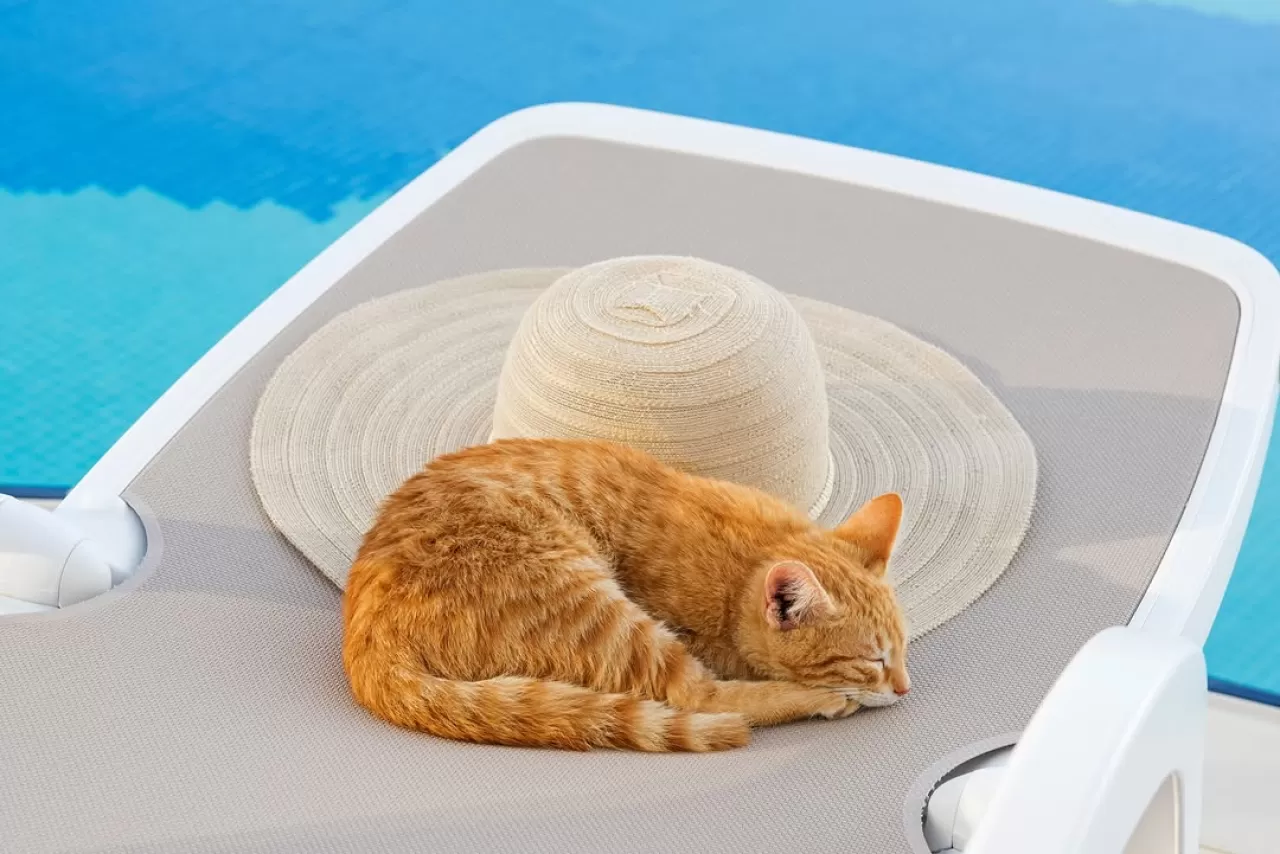 Novum Garden Side Hotel'de Havuz Keyfi ve Rahatlama