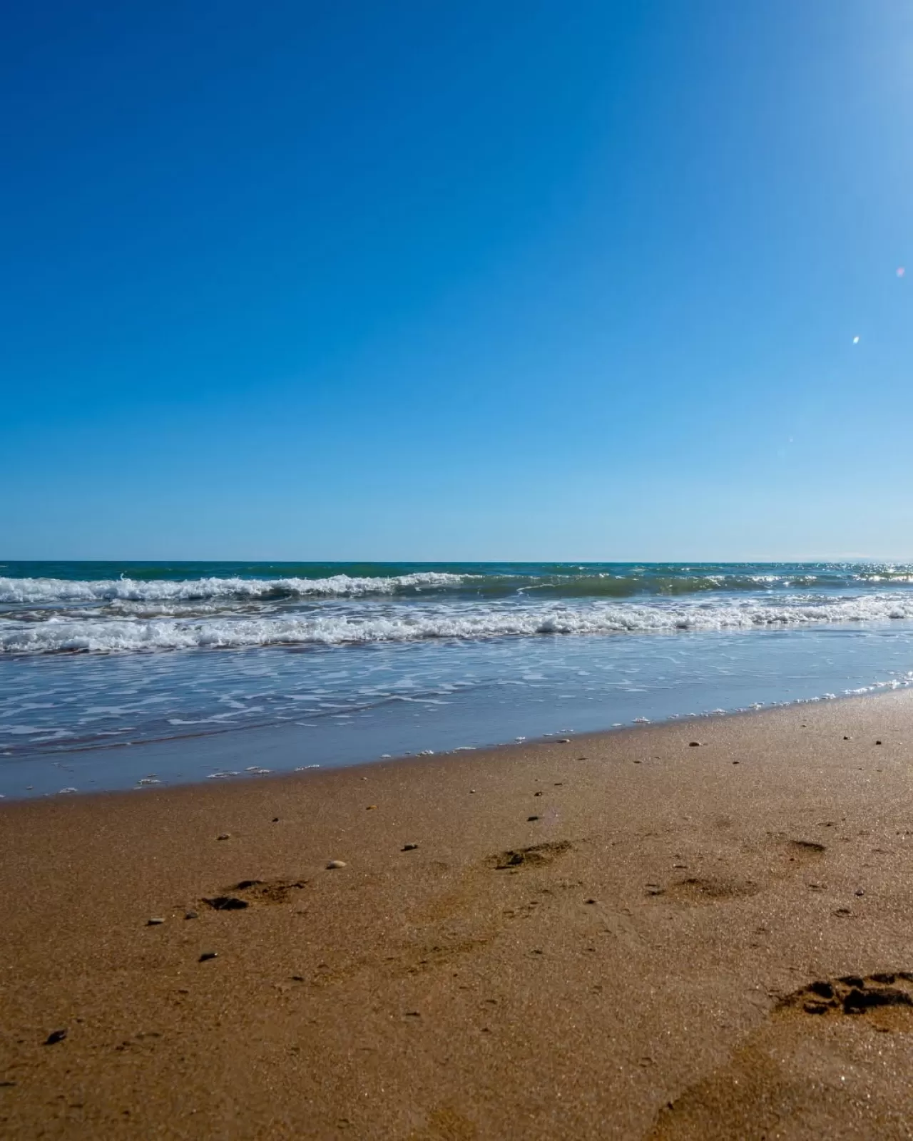 Alba Royal Oteli, Altın Kumları ve Doğal Güzellikleriyle Dikkat Çekiyor