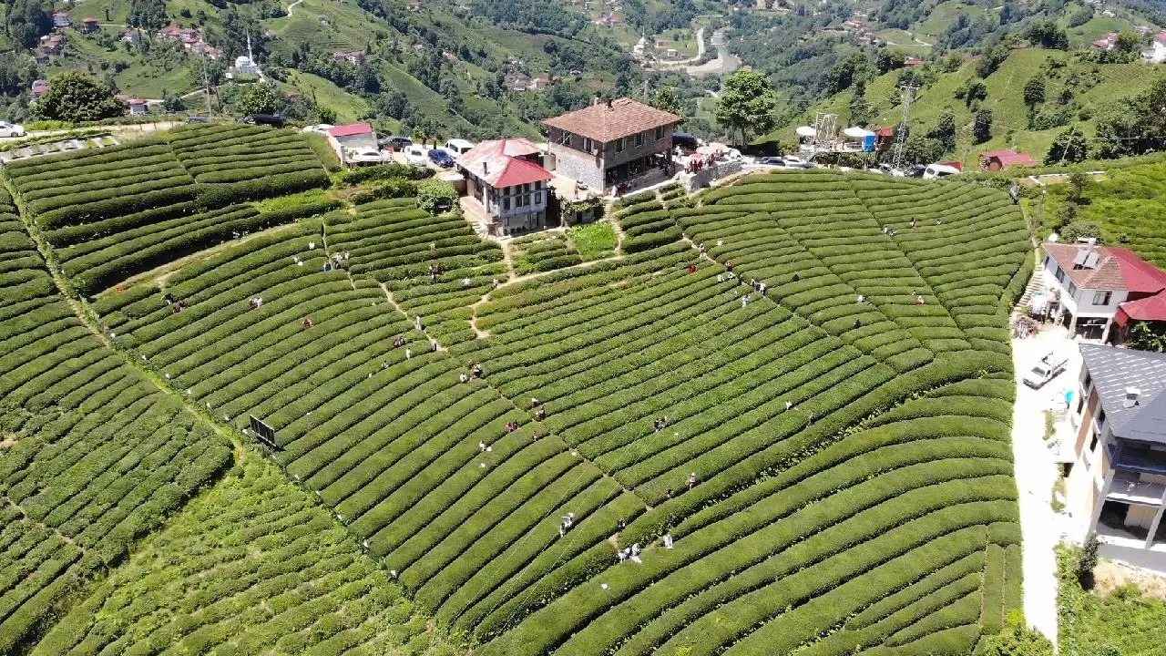 Rize'de Yeşilin ve Serinliğin İçinde Unutulmaz Bir Aile Tatili