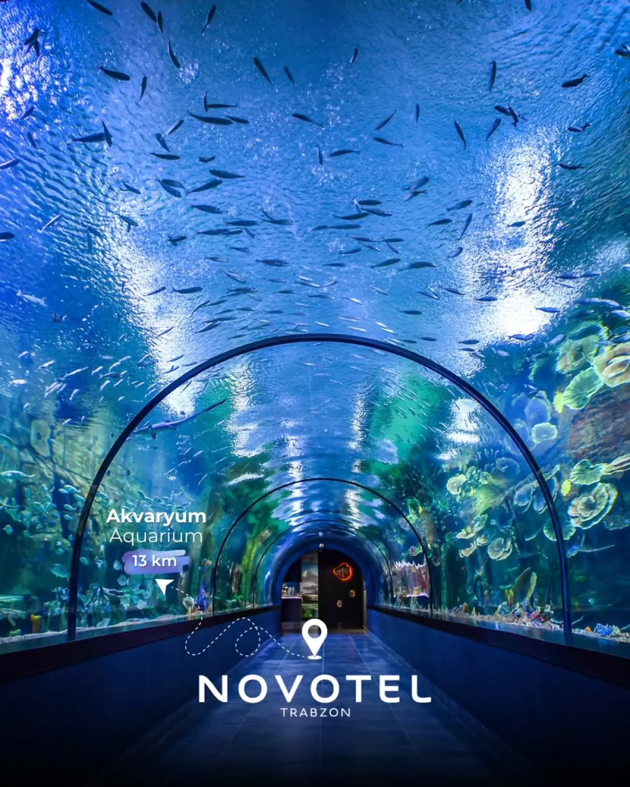 Trabzon'da Su Altı Dünyası: Novotel'in Konumuyla Öne Çıkan Akvaryum Deneyimi