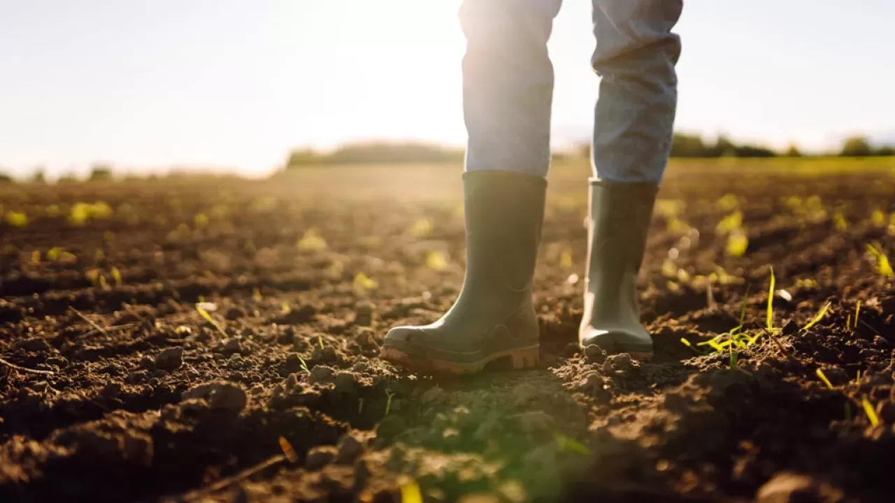 Toprakla Şifa Bulmak: Bilecik'te Kadim Çömlekçilik Terapi Etkisi Yaratıyor