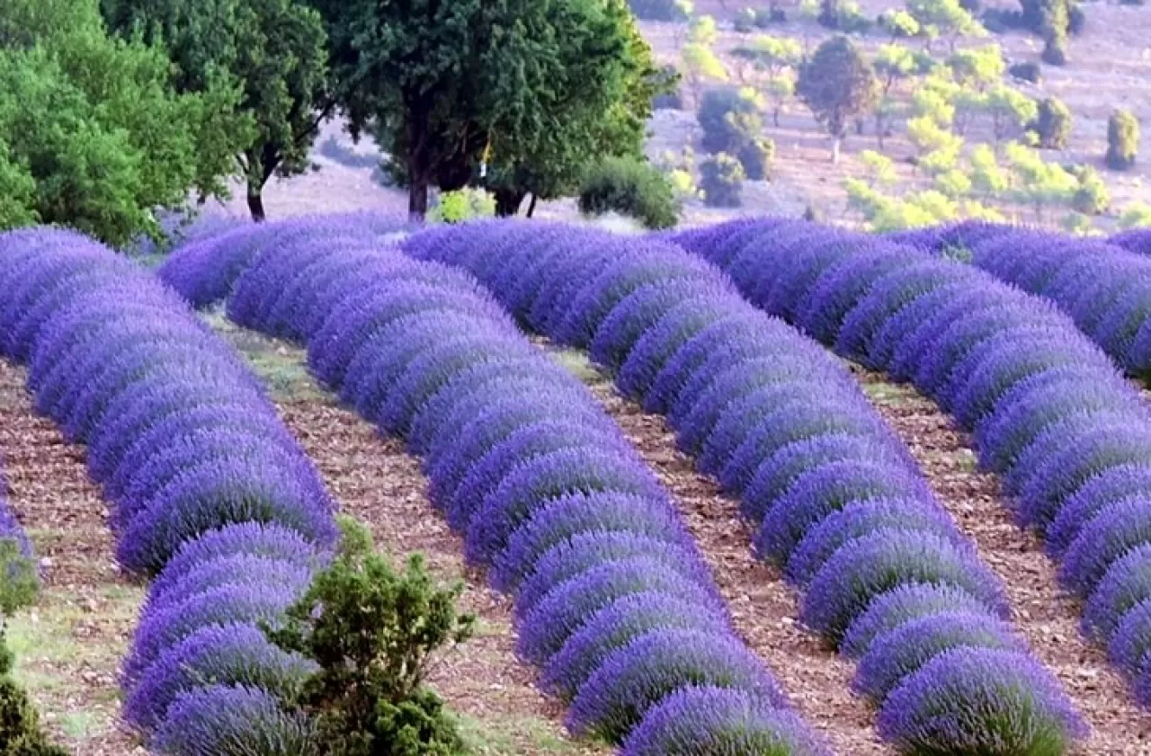 Isparta, Ailelere Doğa, Tarih ve Huzur Dolu Unutulmaz Bir Macera Sunuyor