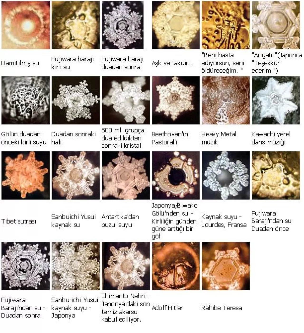 Suyun Hafızası: Bilim ve İnancın Kesiştiği Tartışmalı Kavram