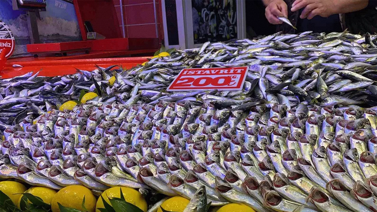 İstanbul'un Balık Pazarı Aralıklarında Unutulmuş Bir Lezzet Mirası Araştırması