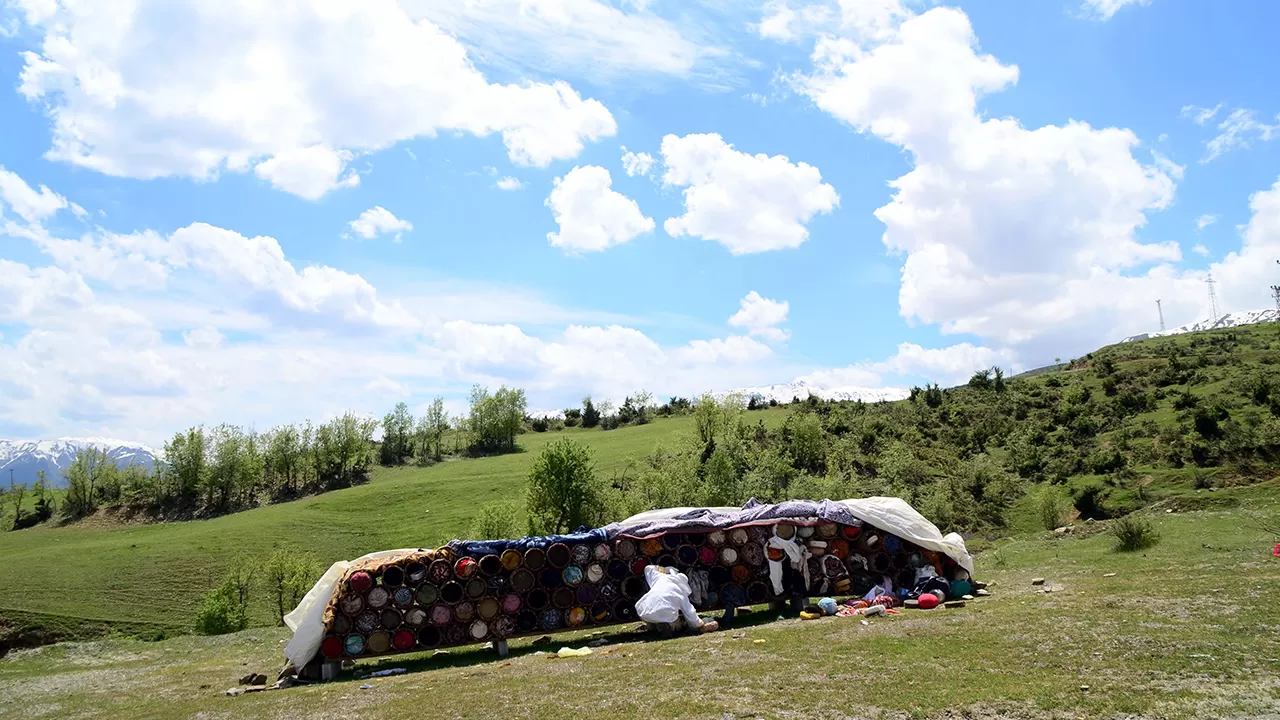 Ordu'nun Yaylalarından Dünyaya Açılan Lezzet: Yayla ve Karakovan Balının Mirası