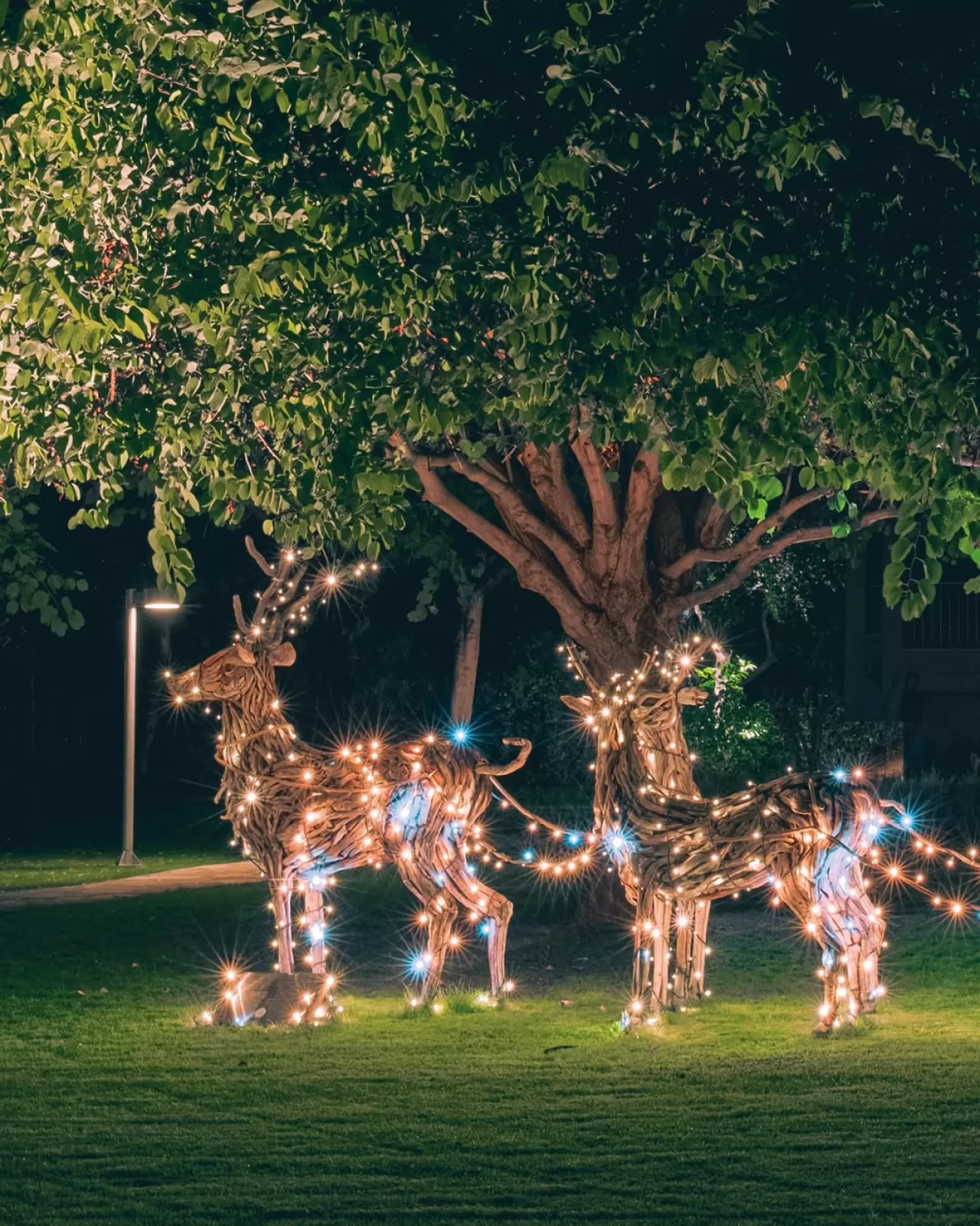 Barut Hemera Otel'de Kış Festivitesi Başladı