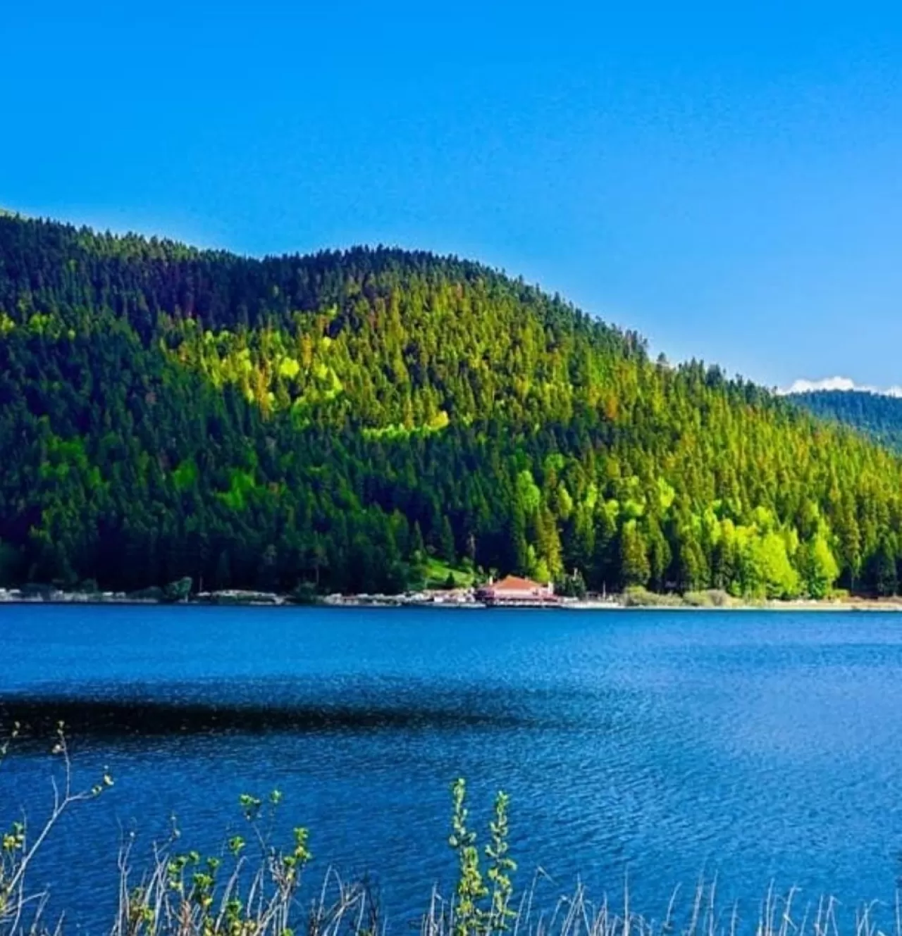 Abant Tabiat Parkı, Ailece Doğa Keyfi Sunuyor