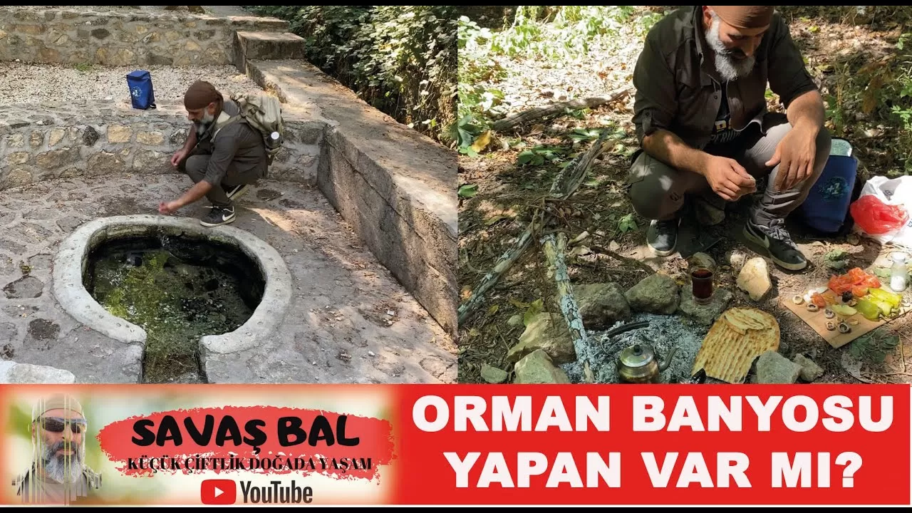 Köylerde Şifa Bulmak: Orman Banyosu Geleneği Anadolu'da Yeniden Hayat Buluyor