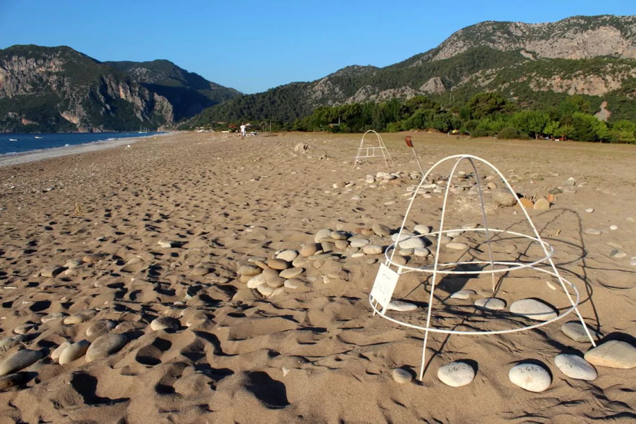 Olympos'ta Aileler İçin Üçlü Macera: Yanartaş, Antik Kent ve Caretta Kumsalı