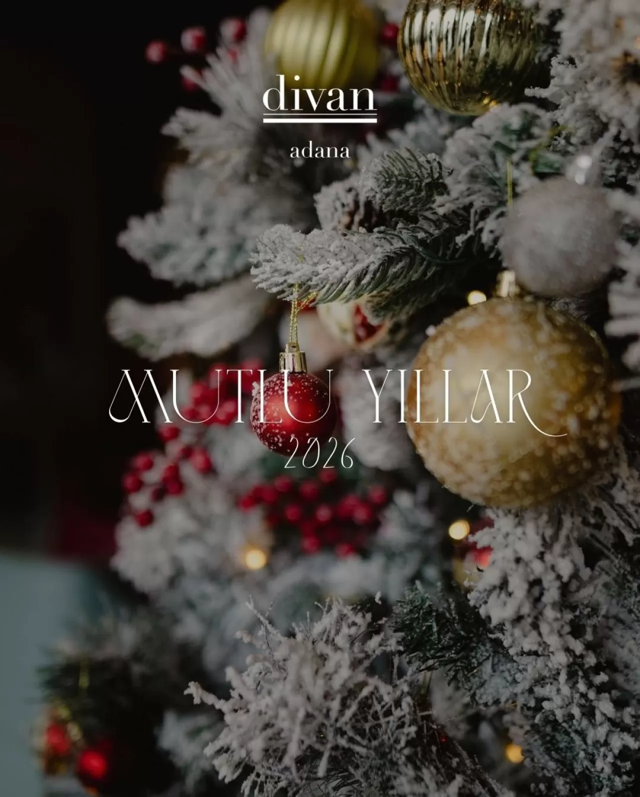 Divan Adana, Yeni Yılı Özel Konseptiyle Karşılıyor