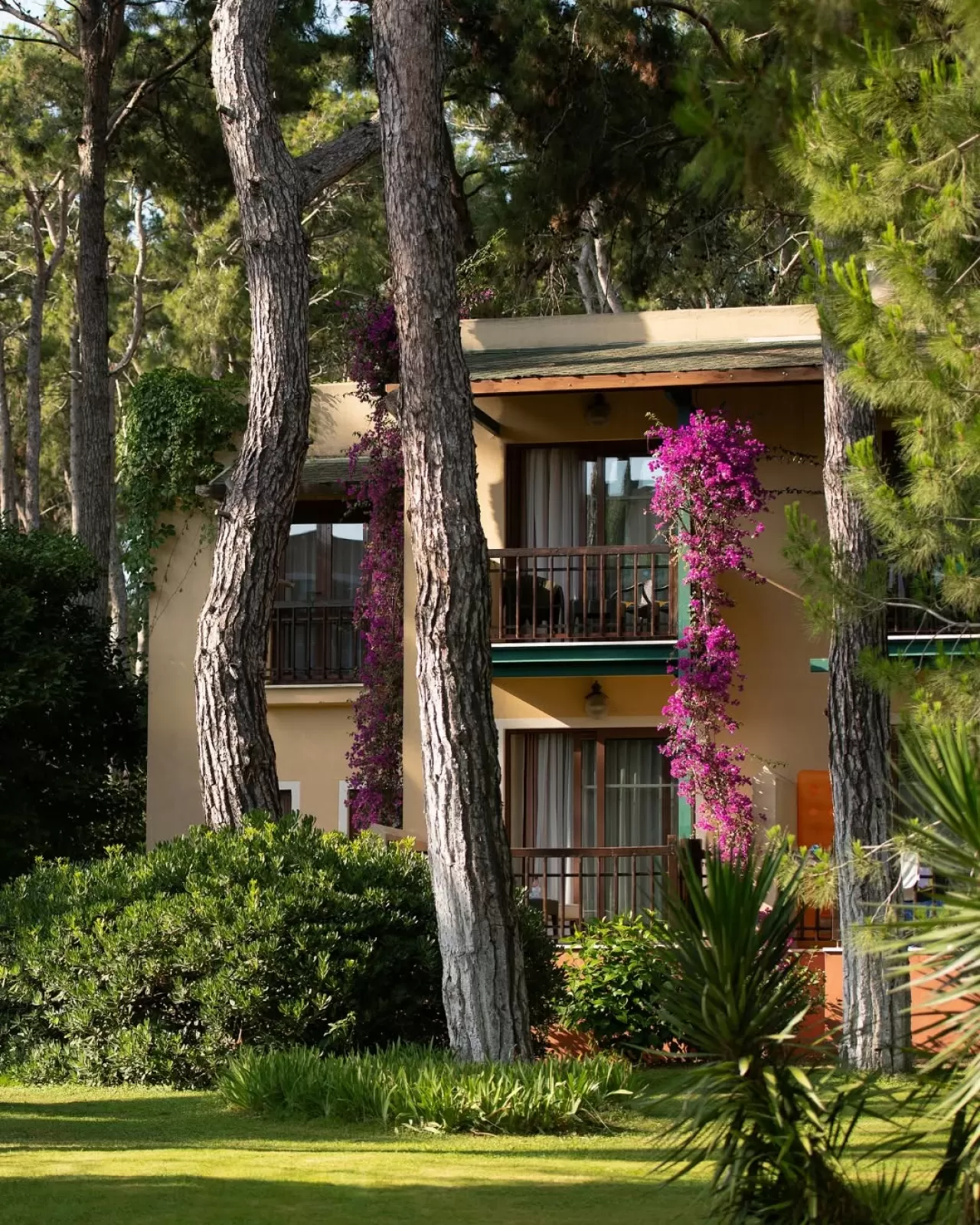 Antalya'nın Saklı Cenneti: Hotel Turquoise'ta Huzur ve Doğanın Dengesi