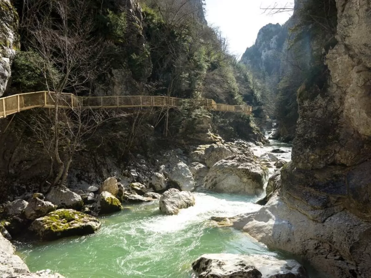 Küre Dağları Milli Parkı: Batı Karadeniz'in Vahşi Yeşil Labirenti Keşfedilmeyi Bekliyor