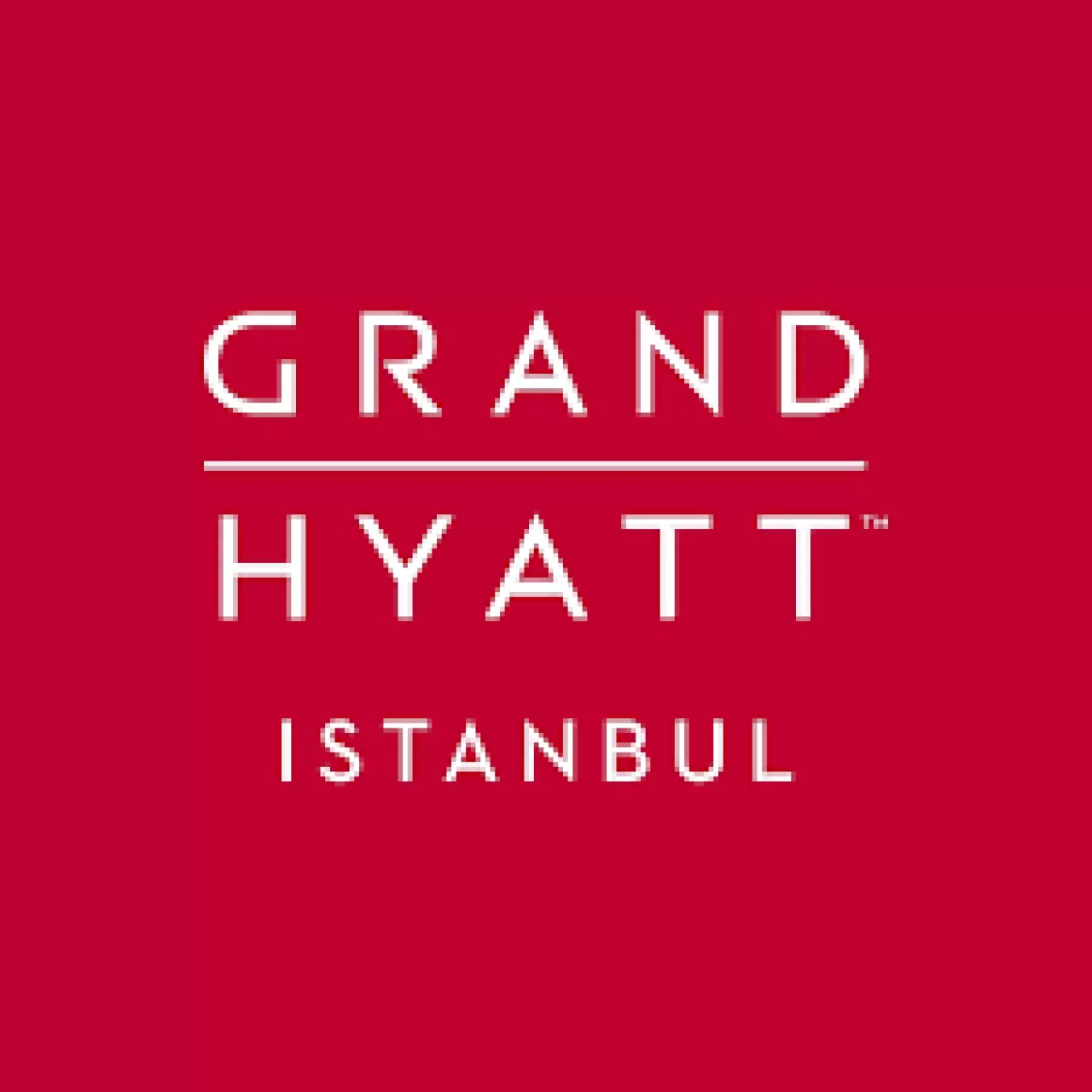 Grand Hyatt İstanbul, Yılbaşı Kutlamalarını Evcil Dostlara Açıyor