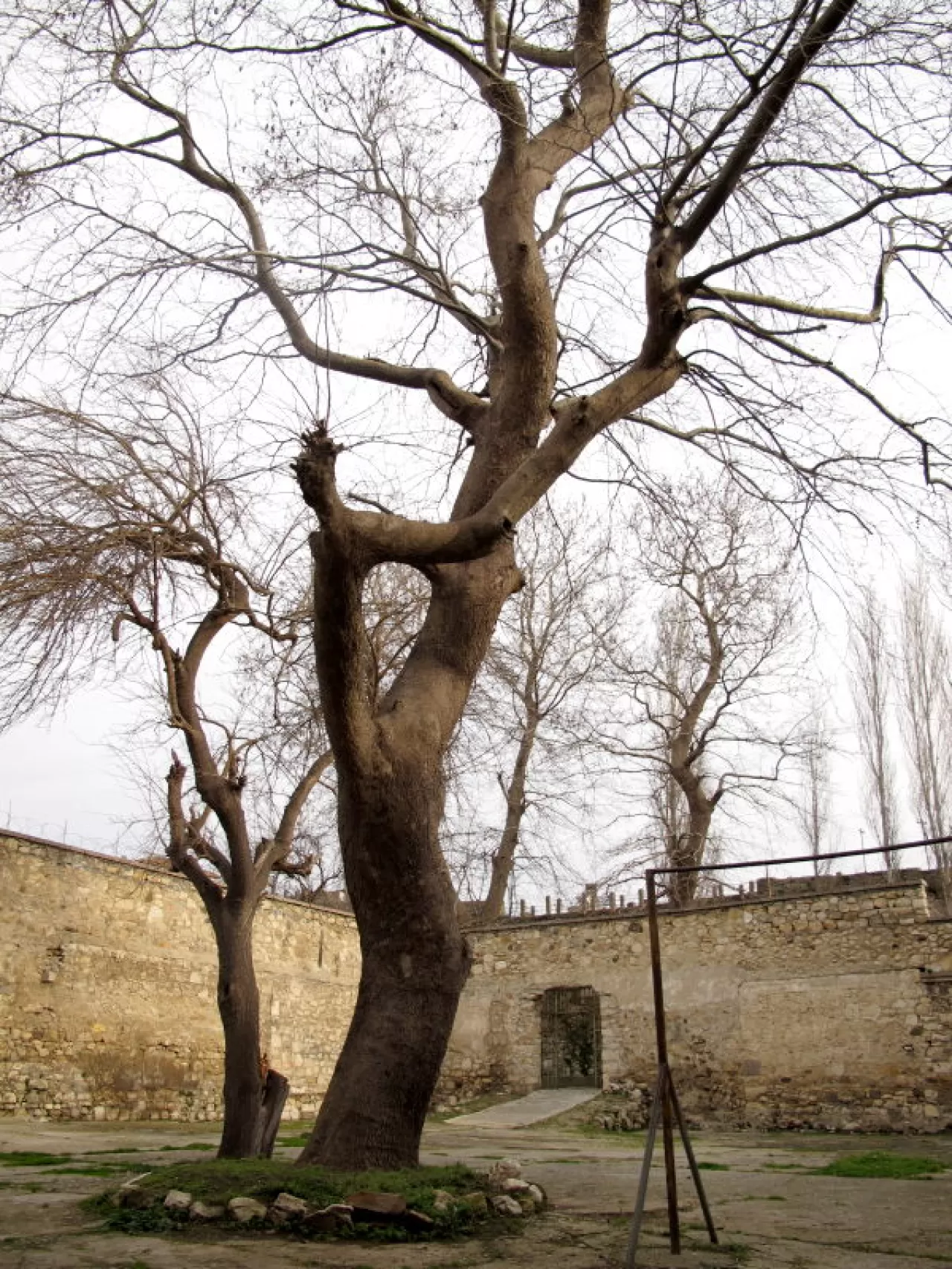 Holiwook ile Lezzetin Köklerine Yolculuk: Bir Bölgenin Yemek Kültürünü Keşfetmek