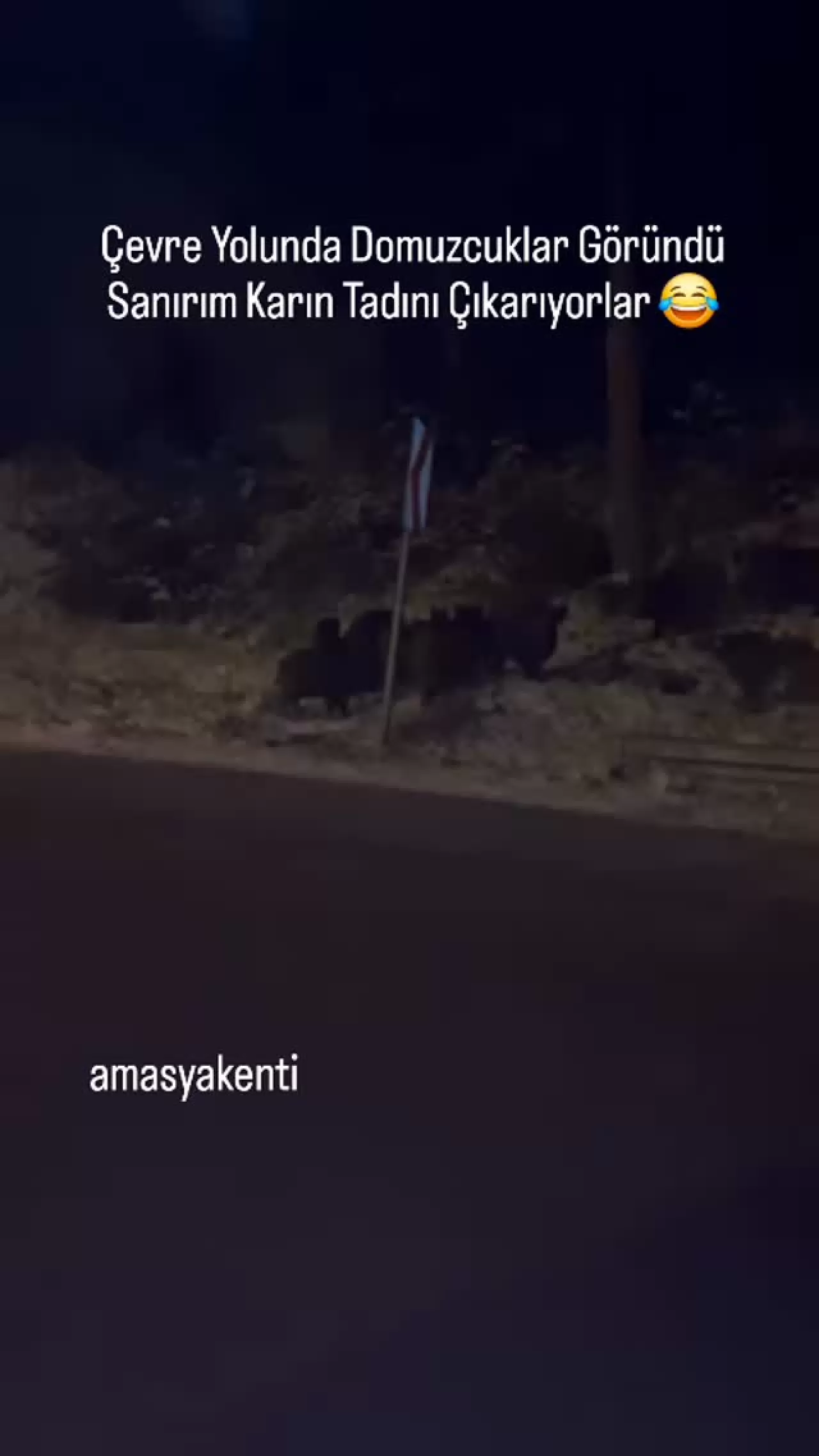 Amasya'da Keşfedilmeyi Bekleyen Gizli Cennet: Tarih ve Doğanın Buluşma Noktası