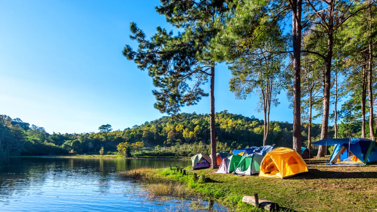 Ekrandan Uzak, Doğayla İç İçe: Dijital Detoks Köyleri Yükselişte