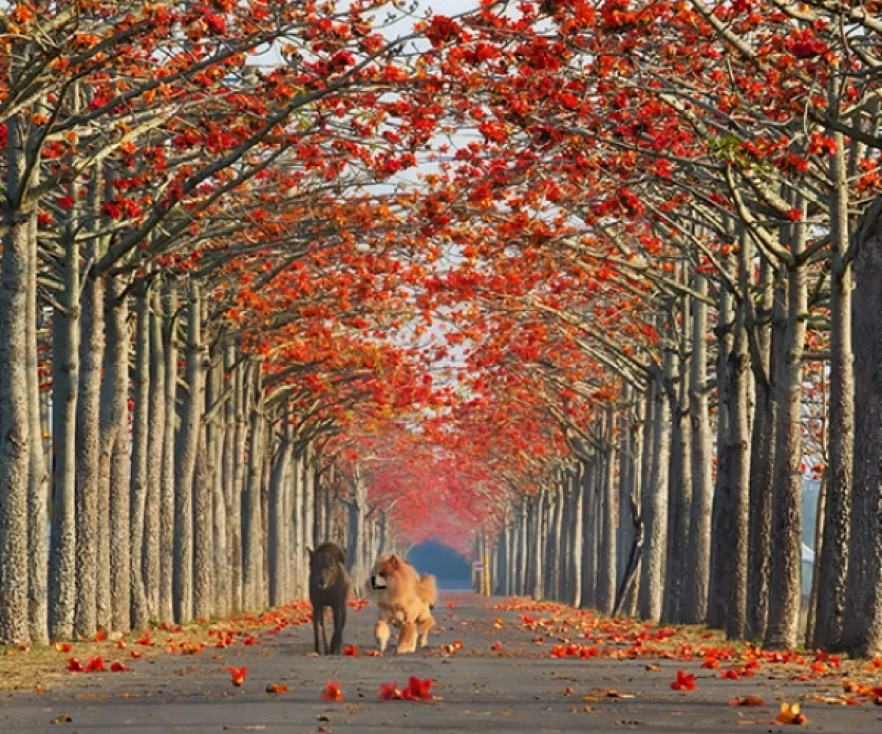 Sosyal Medyanın Yeni Gözdesi: Fotoğraf Karelerine Sığmayan O Köy Neresi?