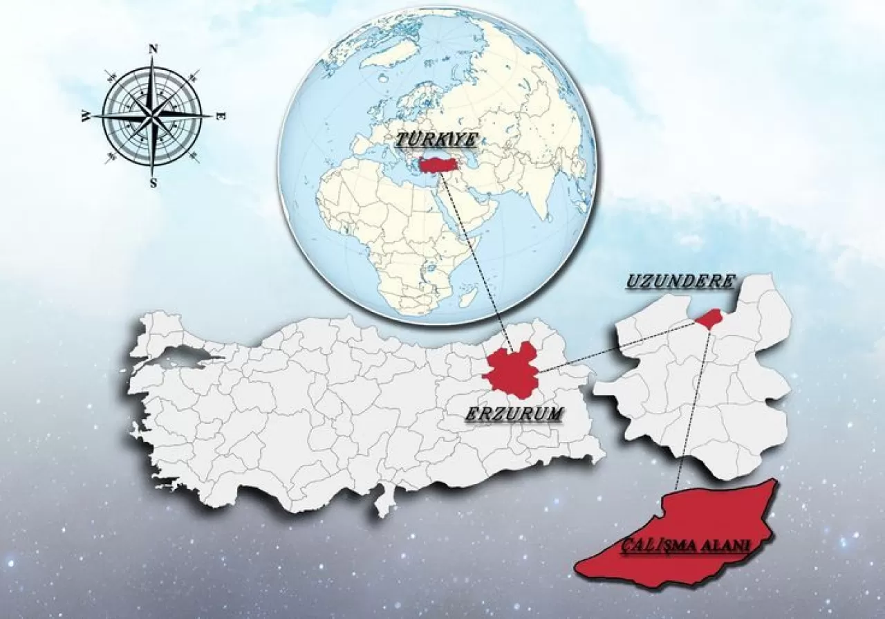 Siber-Göçebe Mikro-Lokasyon Ağı: Her Yerden Çalışma Devrimi Başlıyor