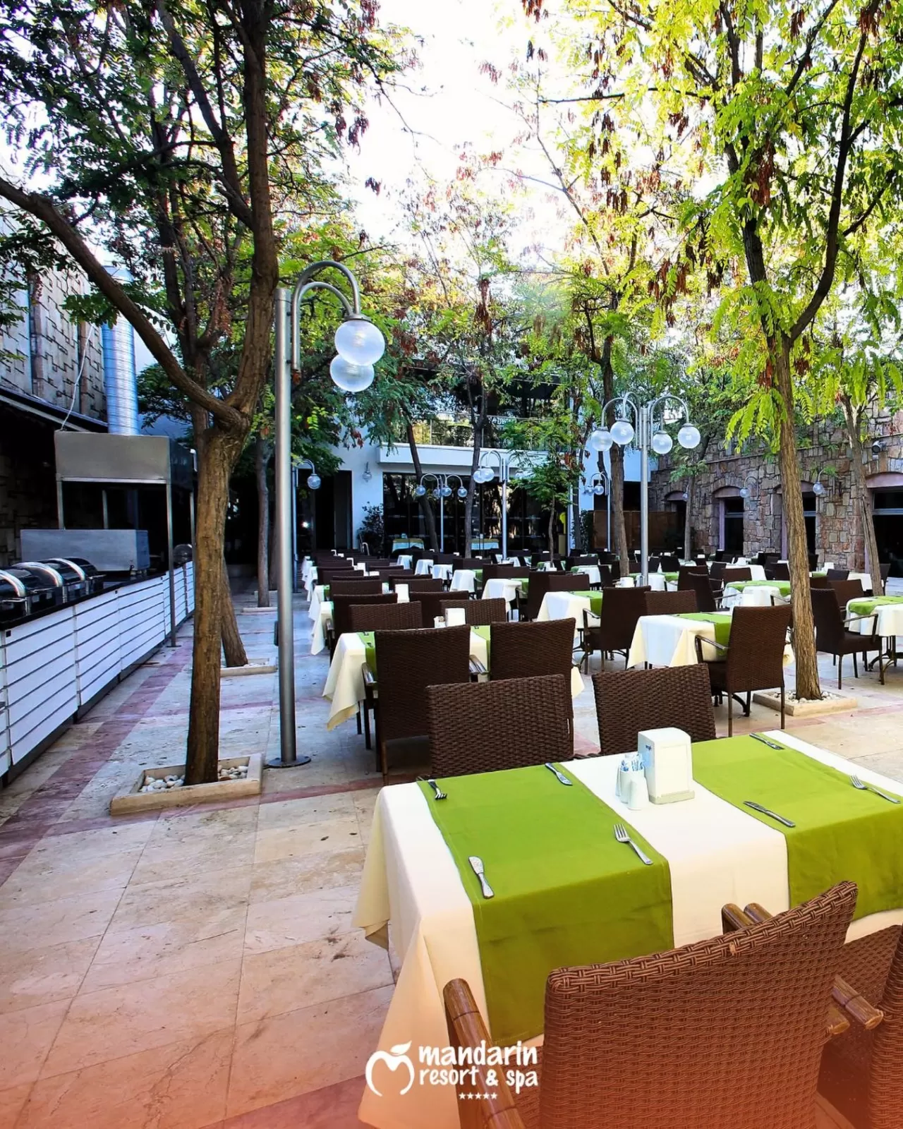 Mandarin Resort Bodrum: Ağaçların Gölgesinde Huzurlu Bir Lezzet Durağı