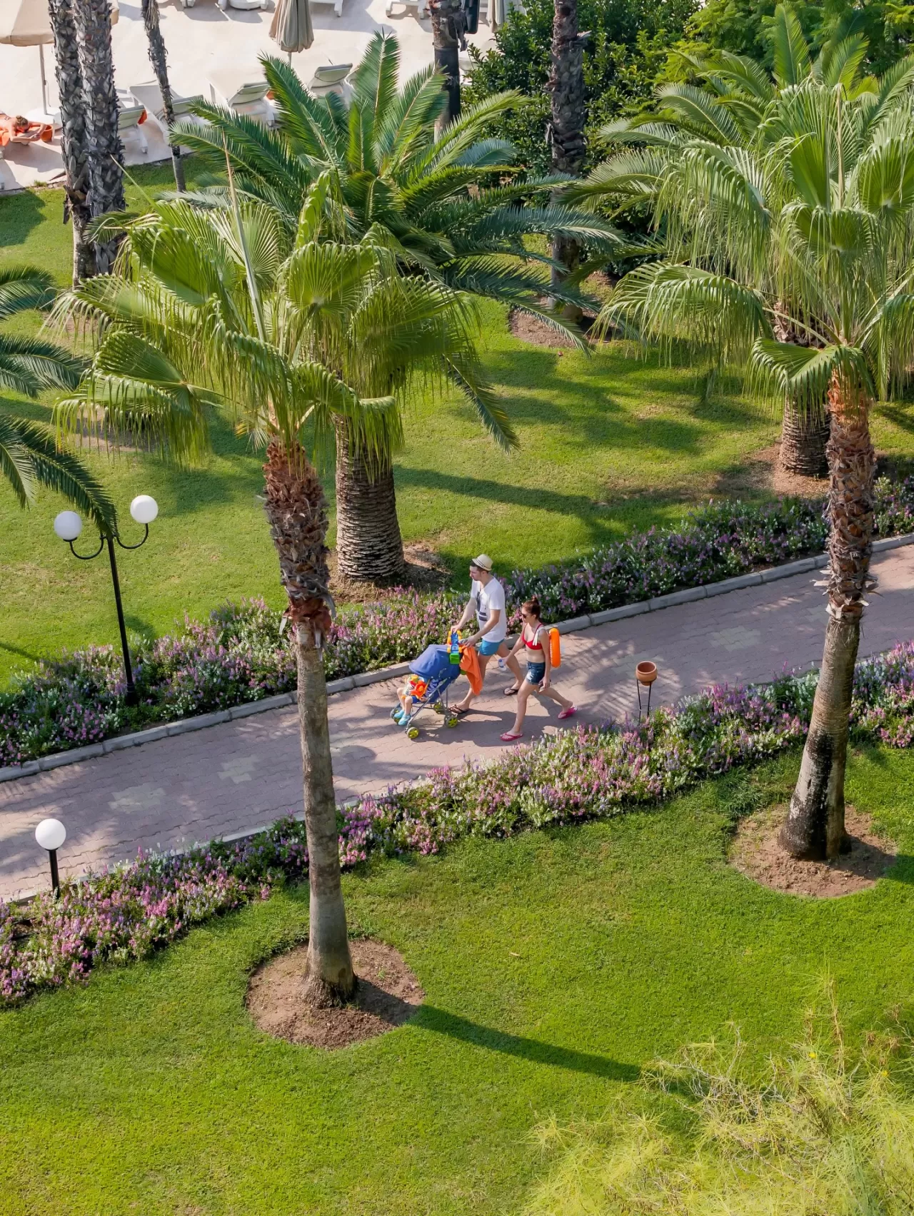 Doğanın Ritmiyle Uyanmak: Starlight Resort Hotel'de Sakin Bir Kaçış