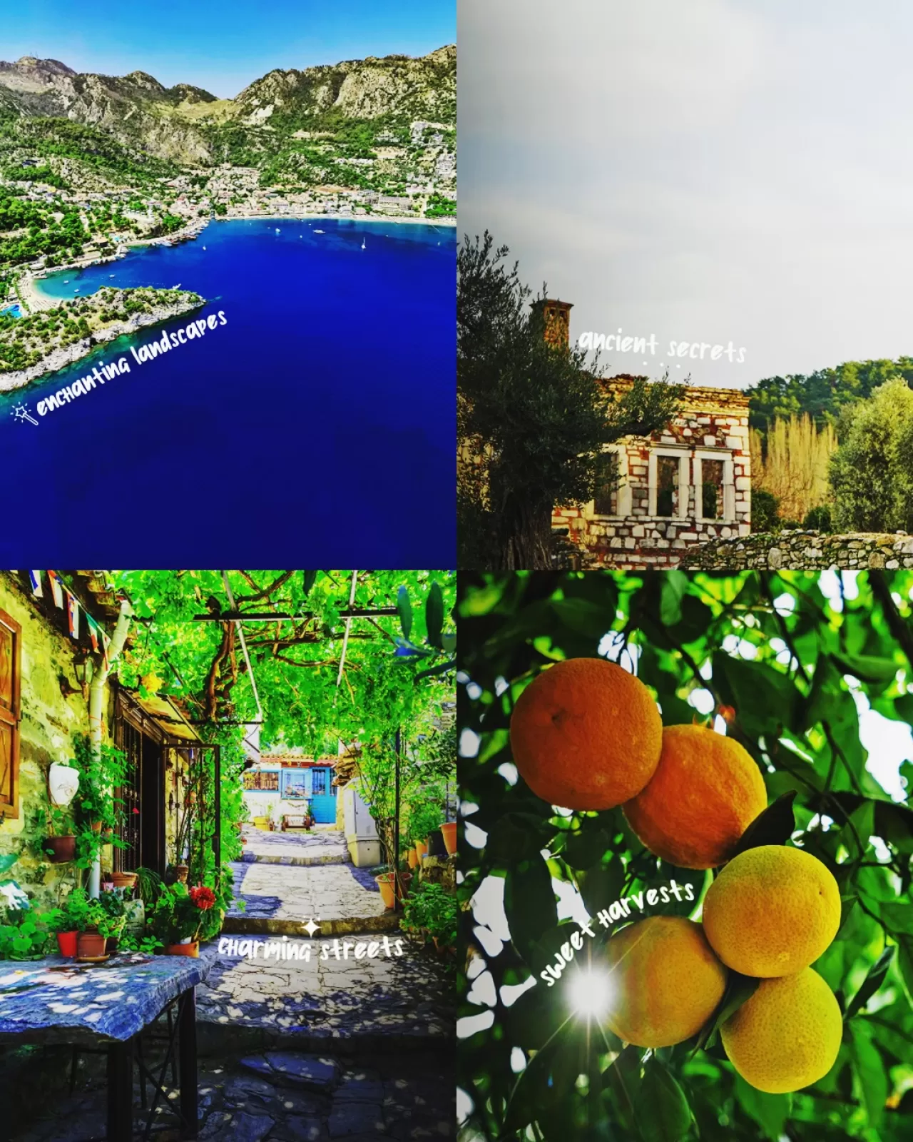 Muğla'nın Büyüsü: Tarih, Doğa ve Lezzet Bir Arada