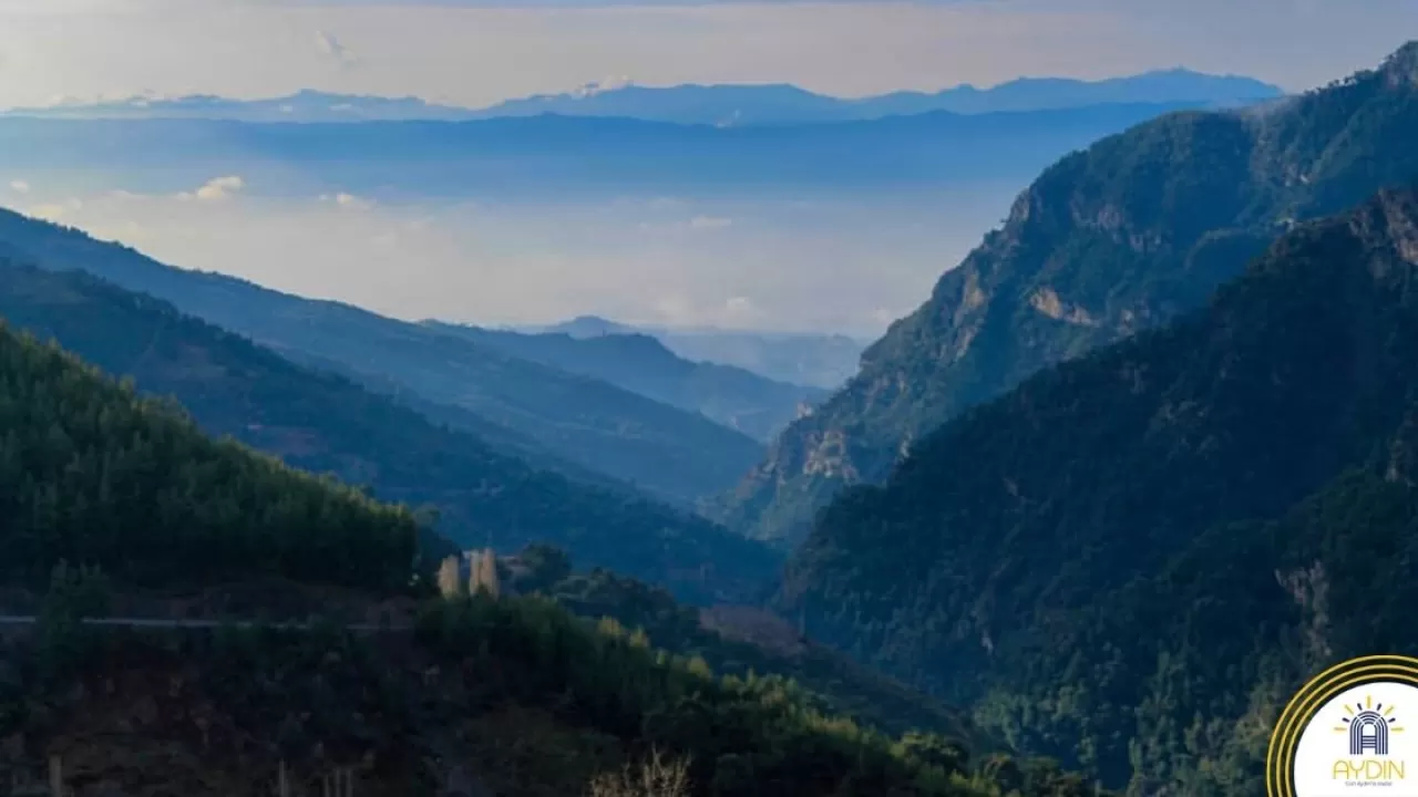 Aydın'ın Kalbinde Saklı Bir Cennet: Tabakhane Vadisi ve Deresi'nin İhtişamı