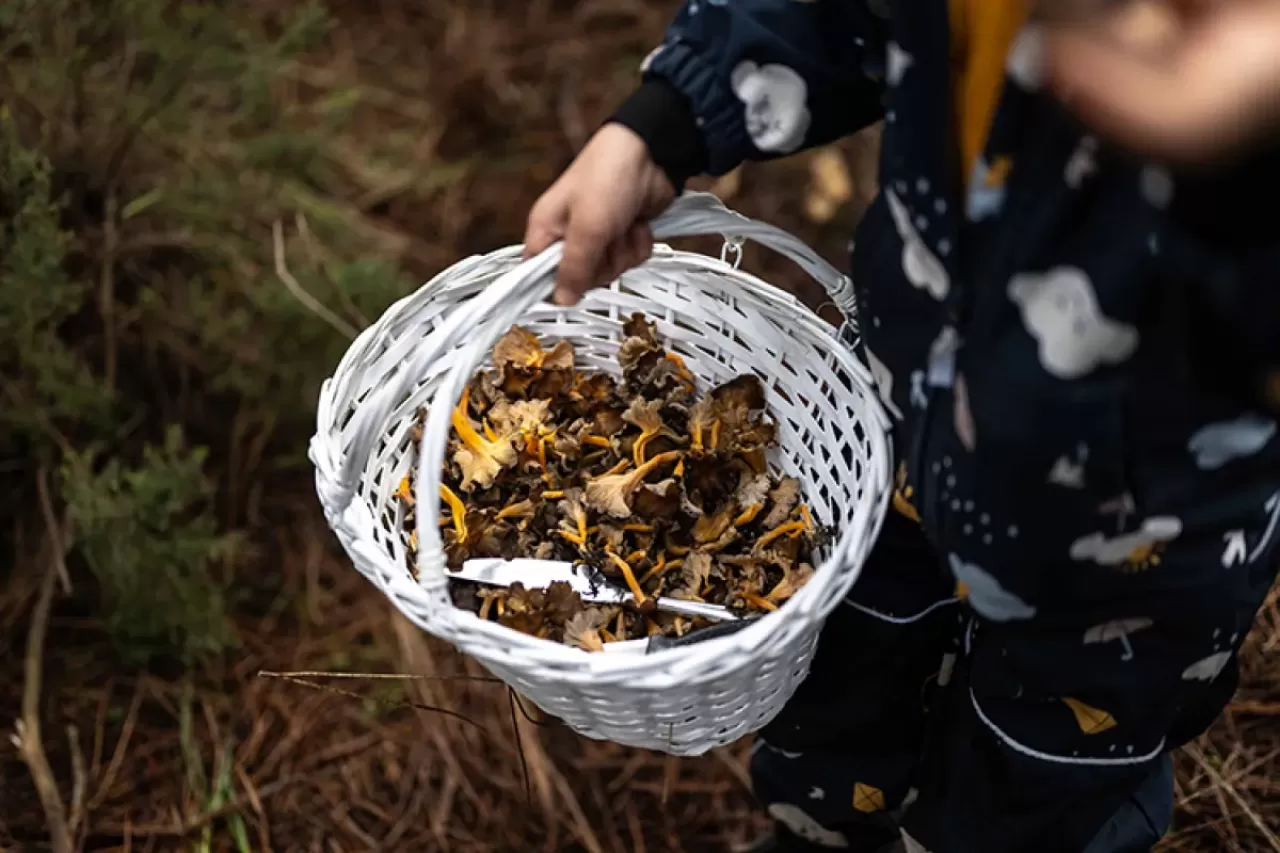Köy Yaşamında Mikro-Macera: Günlük Rutininize Sığacak Olağanüstü Kaçamaklar