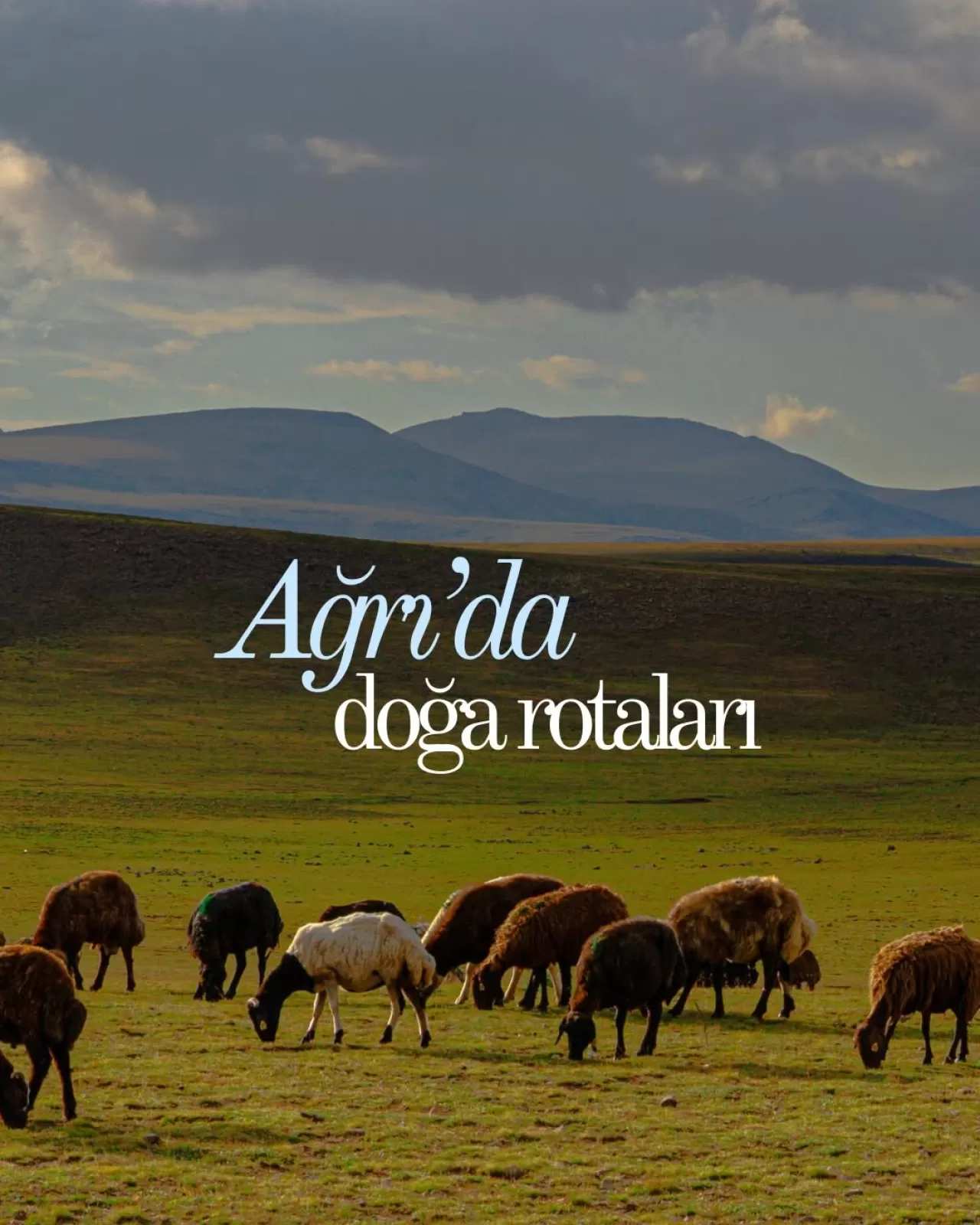 Ağrı'da Huzur ve Doğanın İzinde: Kalabalıktan Uzak Rotalar Keşfedin