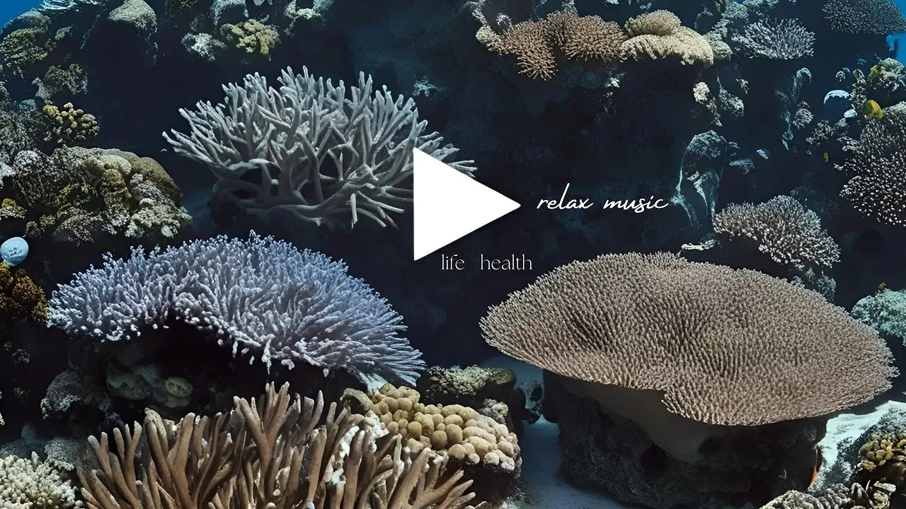 Köy Sessizliğinde Zihin Dalışı: Sualtı Meditasyonu ile İçsel Keşif