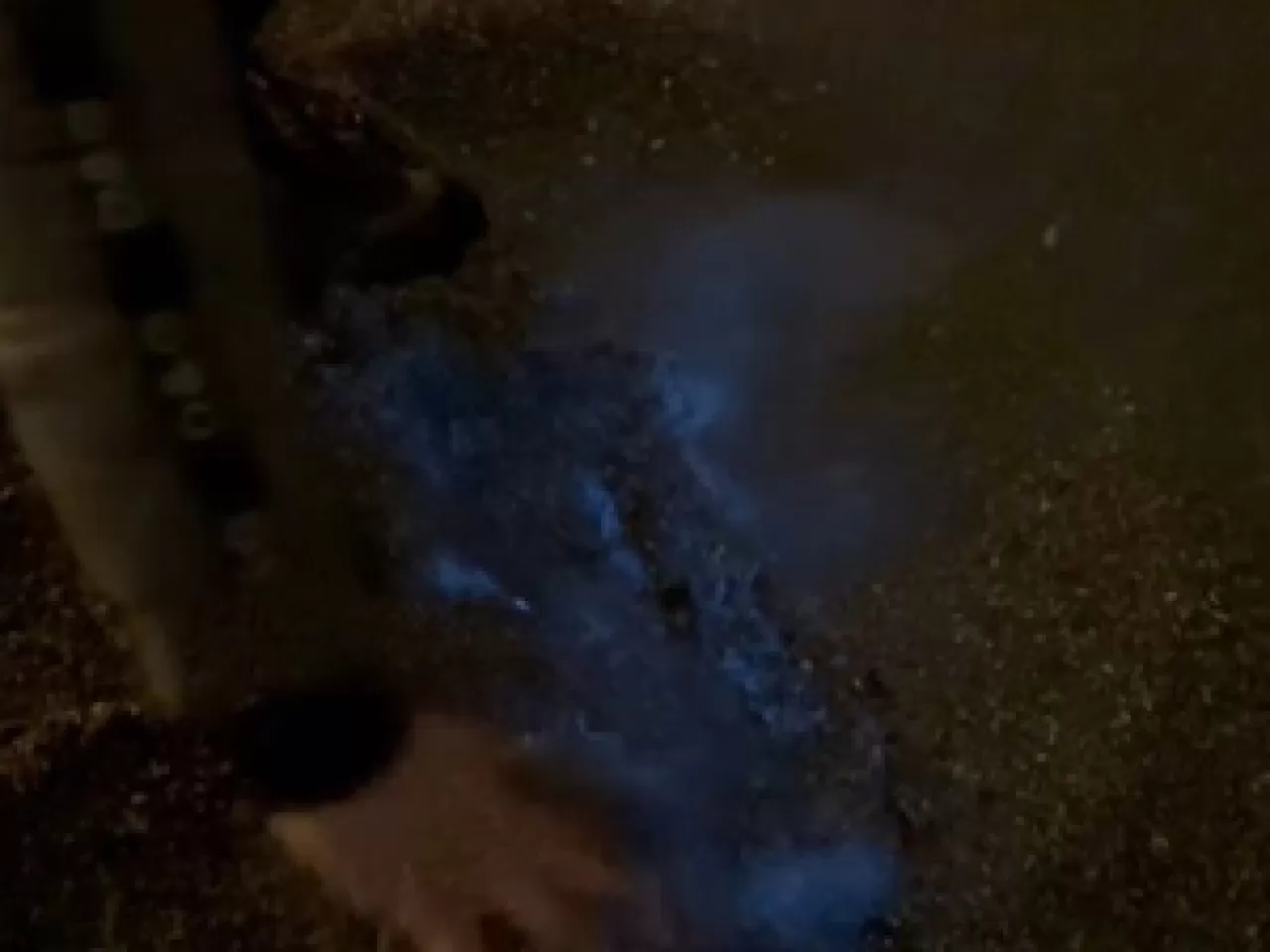 Vaadhoo Adası'nın Sihirli Işıkları: Okyanusta Yıldızlar Denizi'ni Görmenin Zamanı Geldi