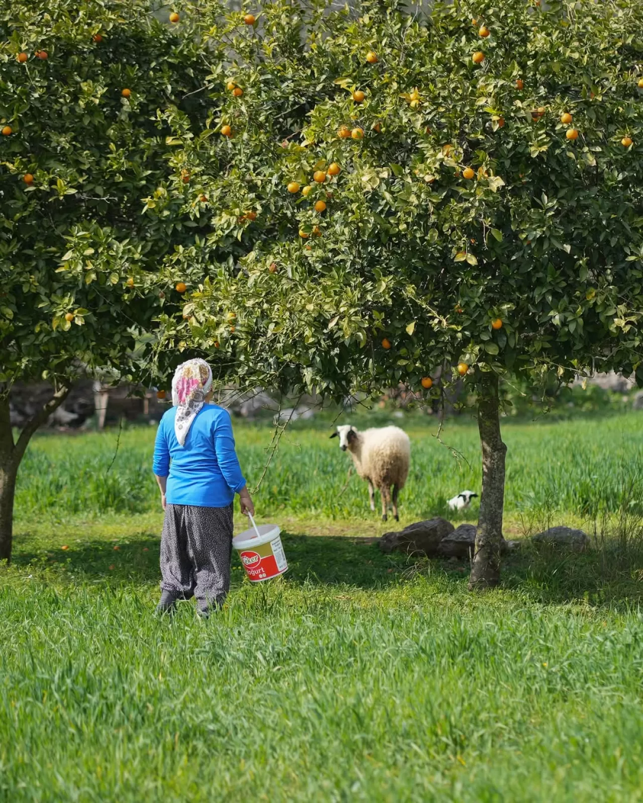Muğla: Doğallığın İzinde Bir Hikayeler Diyarı